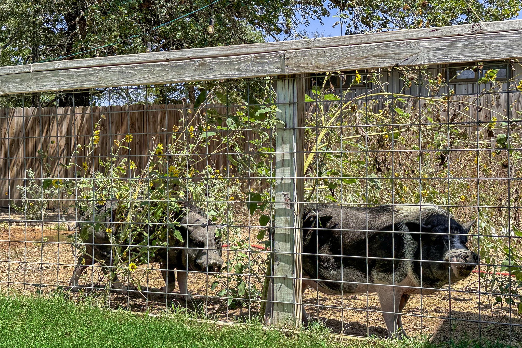 main property photo 19