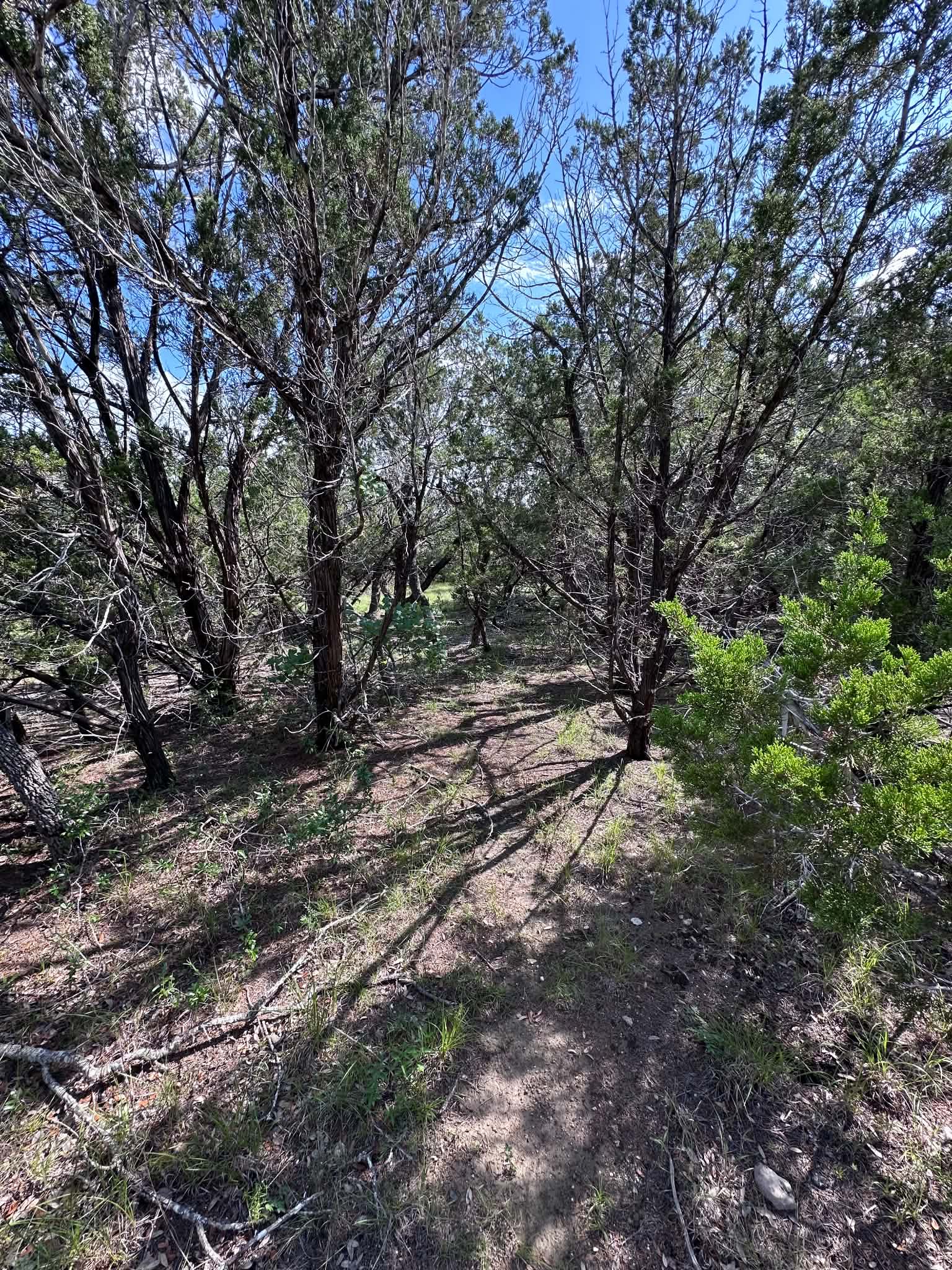 main property photo 17