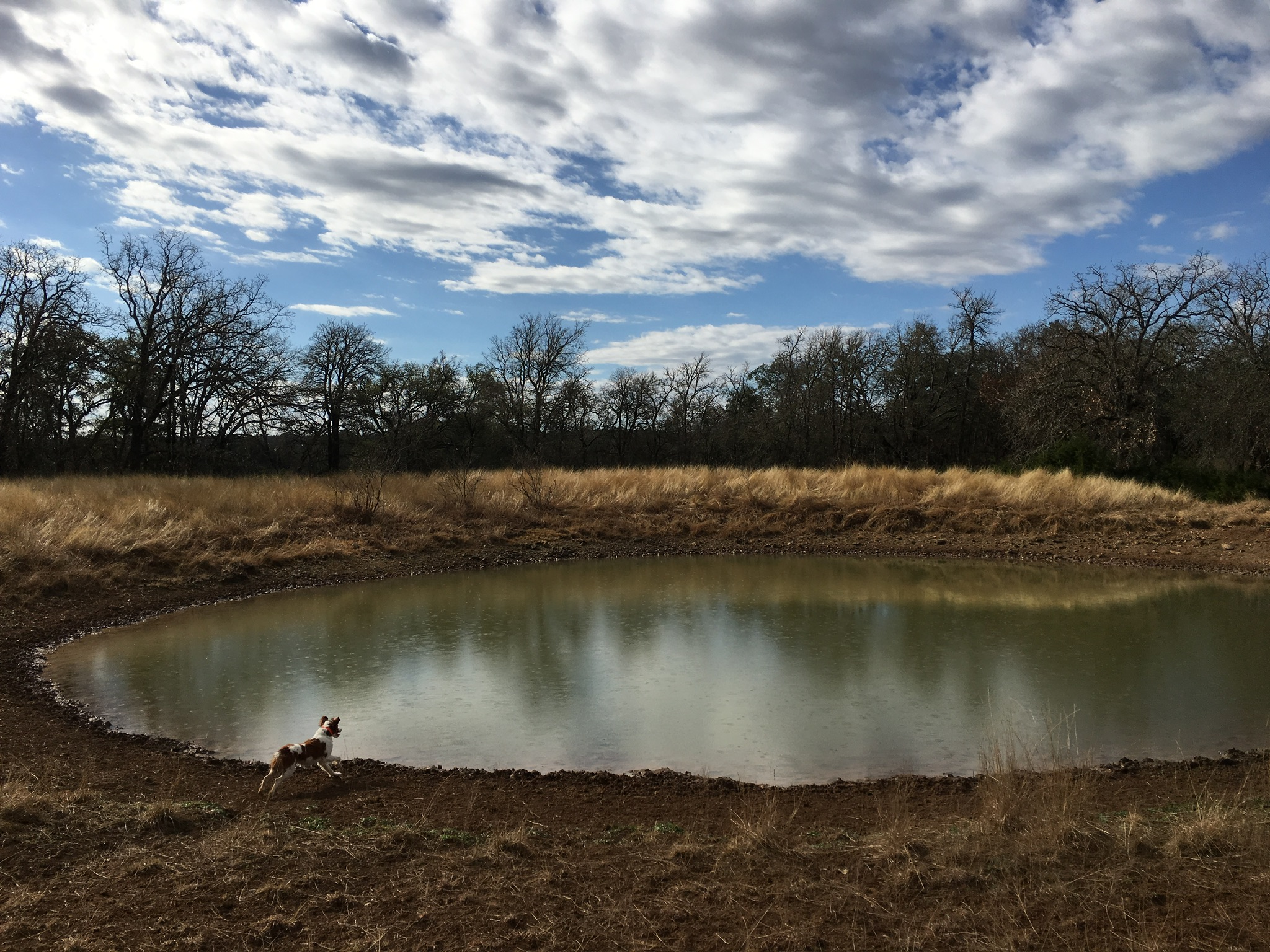main property photo 24