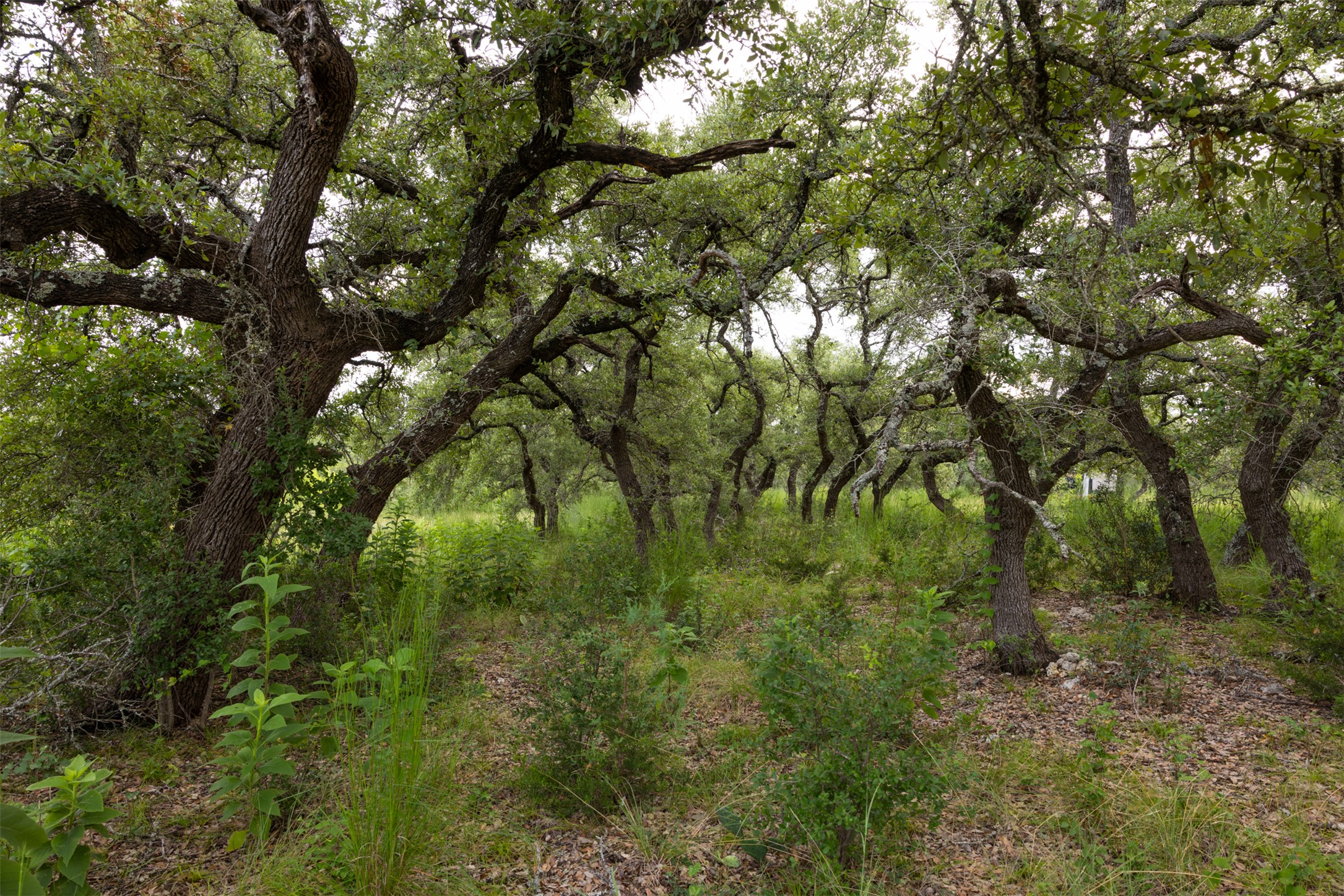 main property photo 25