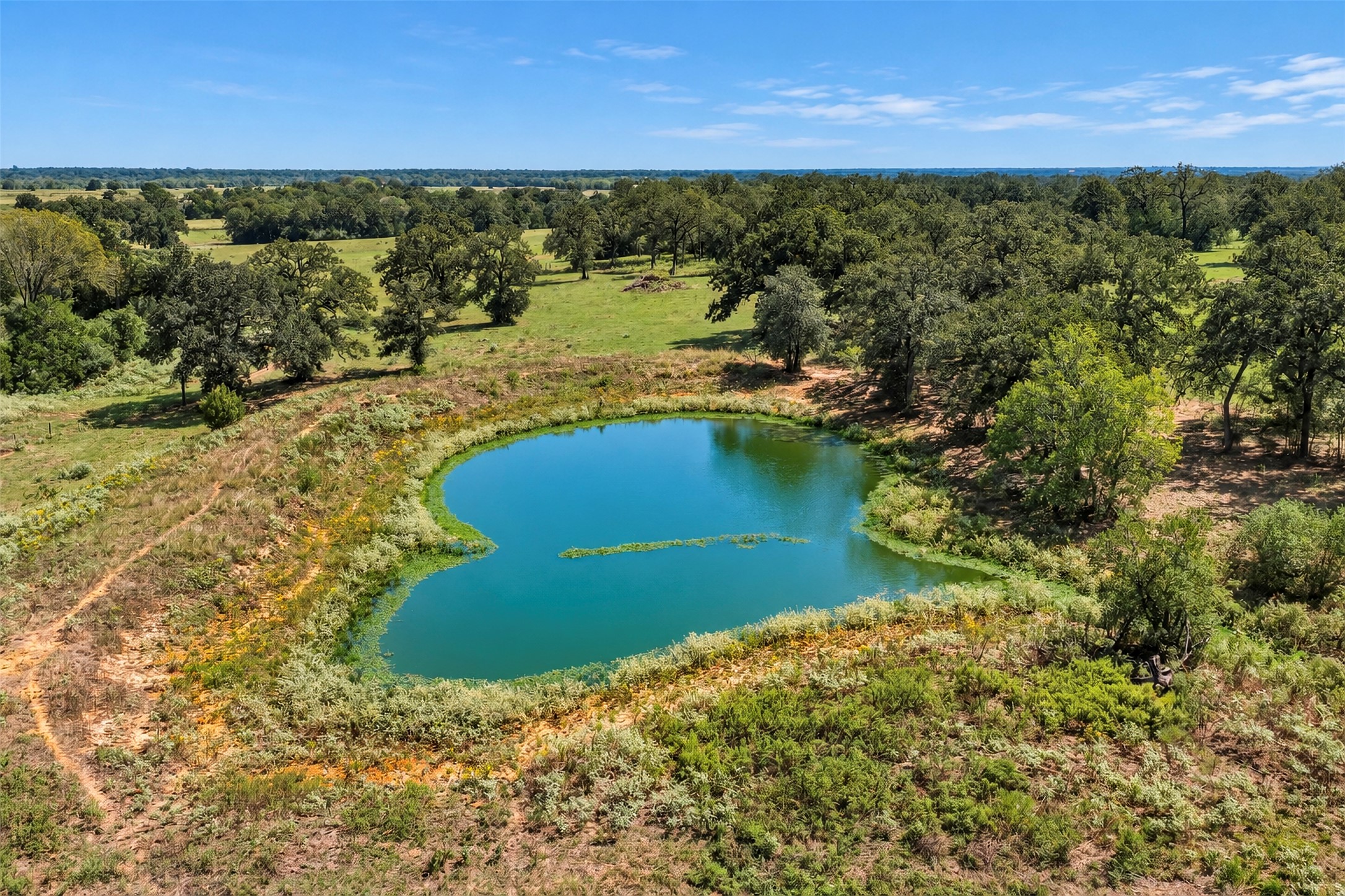 main property photo 36