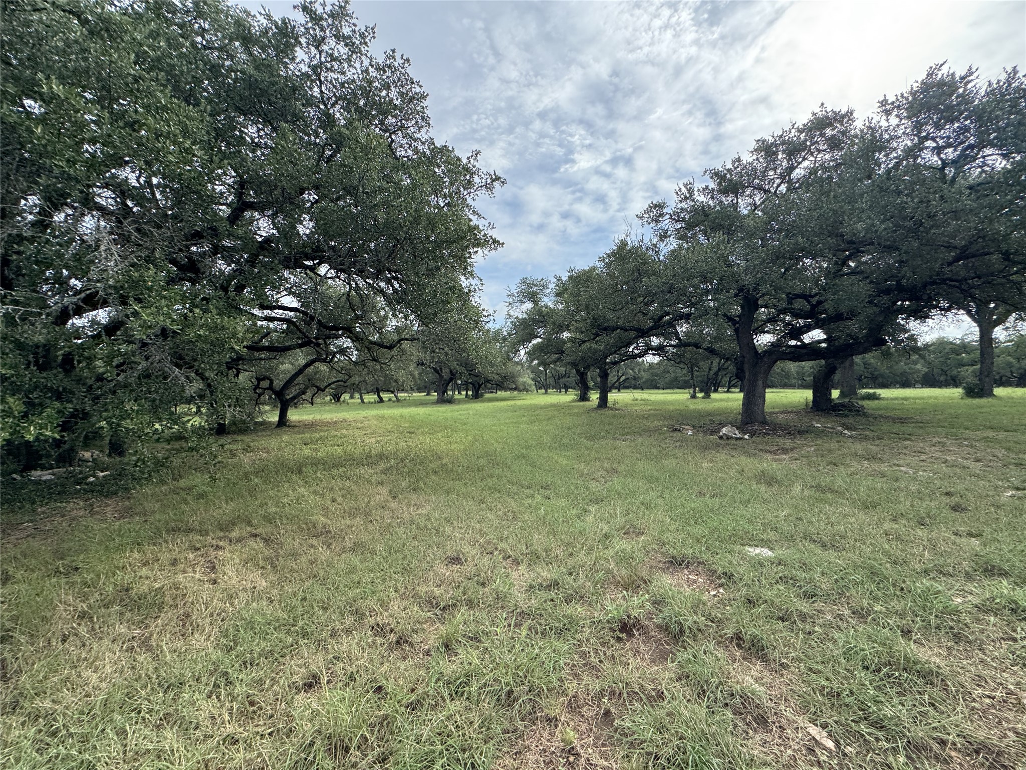 main property photo 11