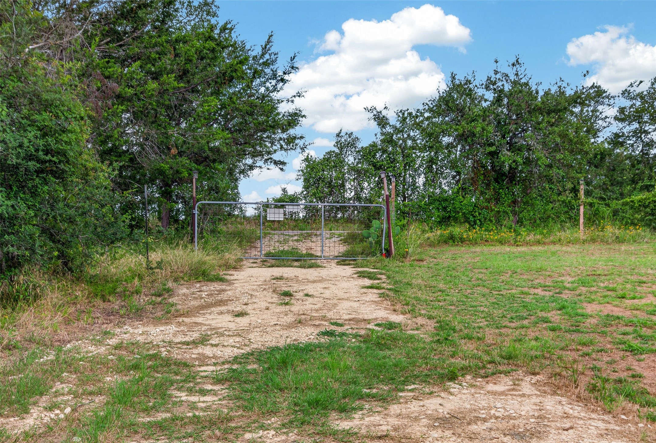 main property photo 35