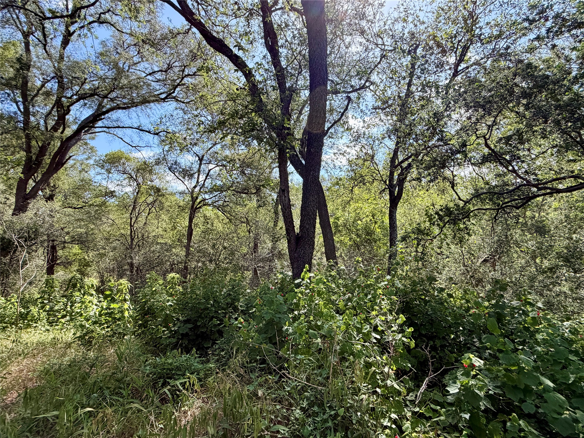 main property photo 10