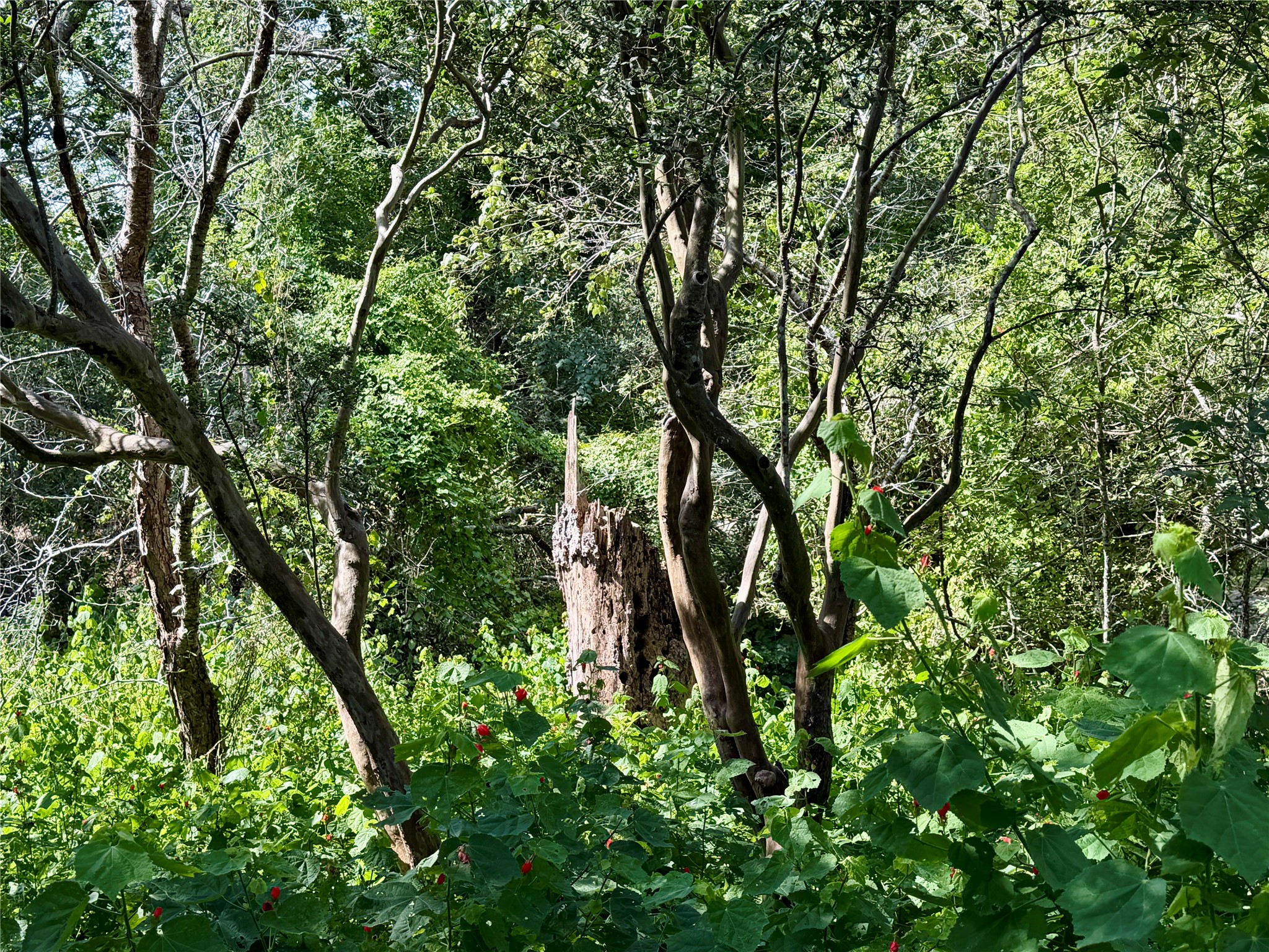 main property photo 11