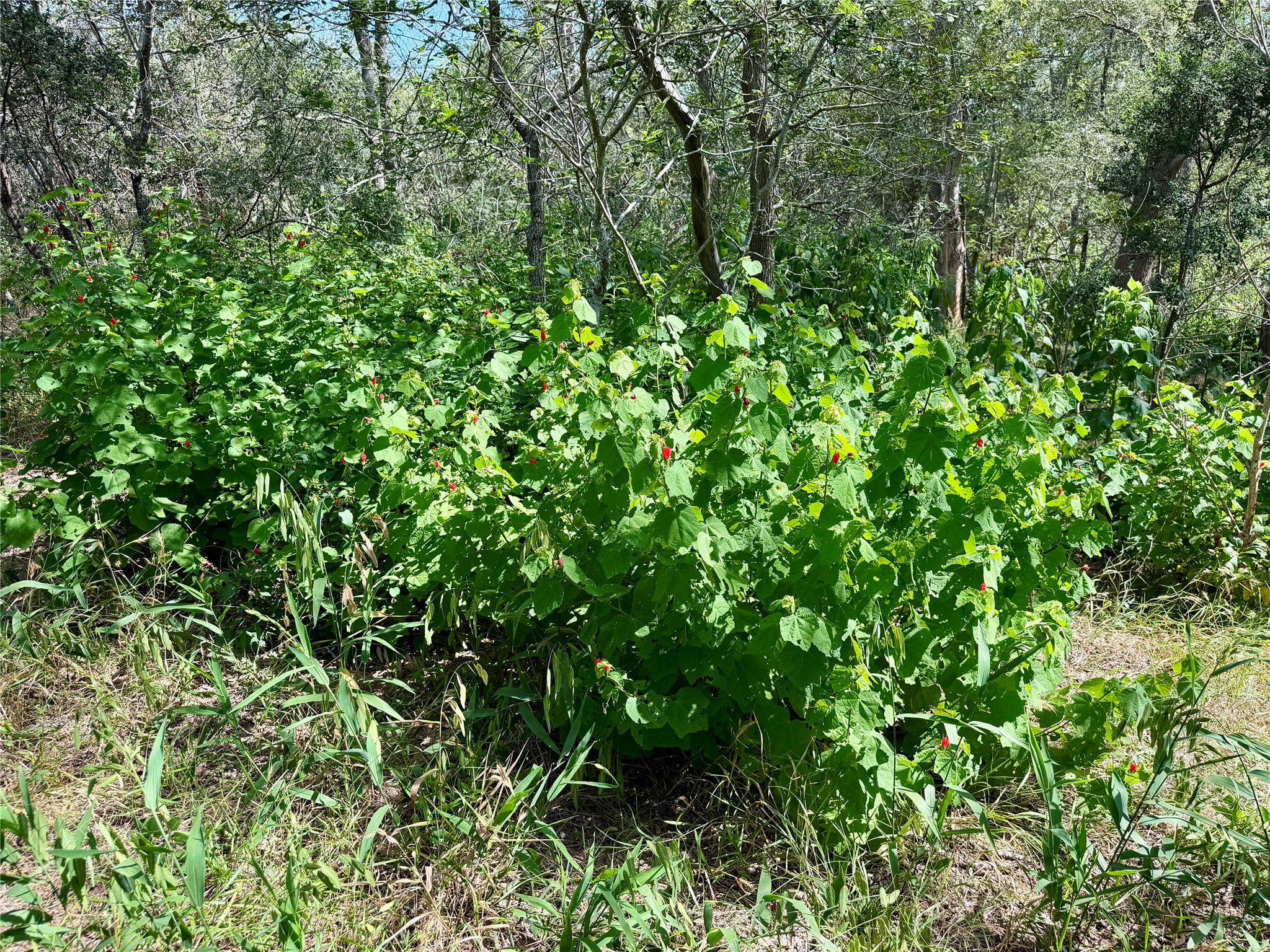 main property photo 14