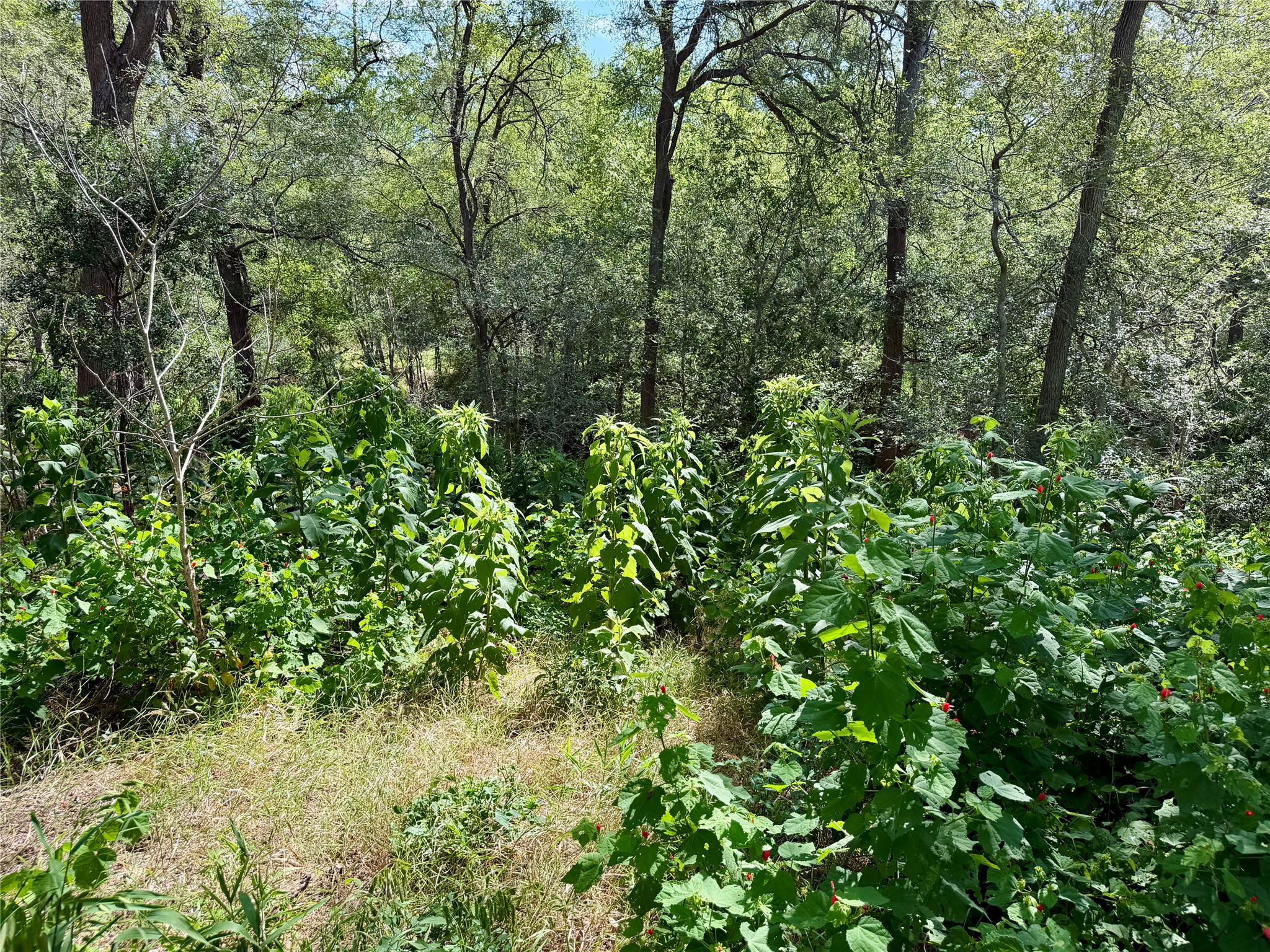 main property photo 15