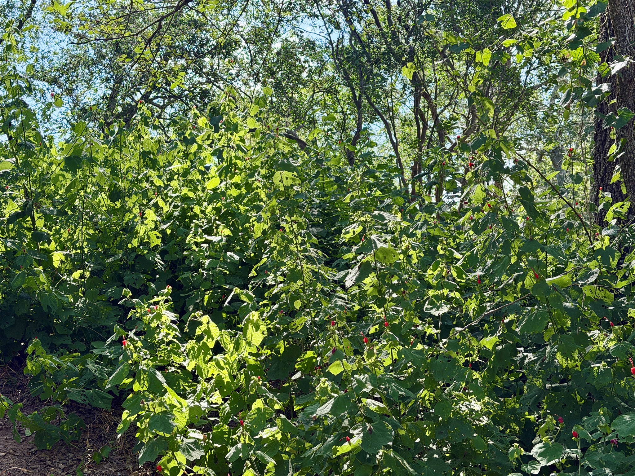 main property photo 16