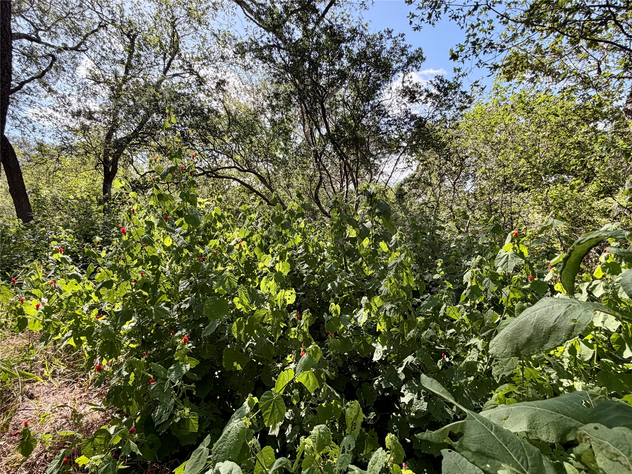 main property photo 17