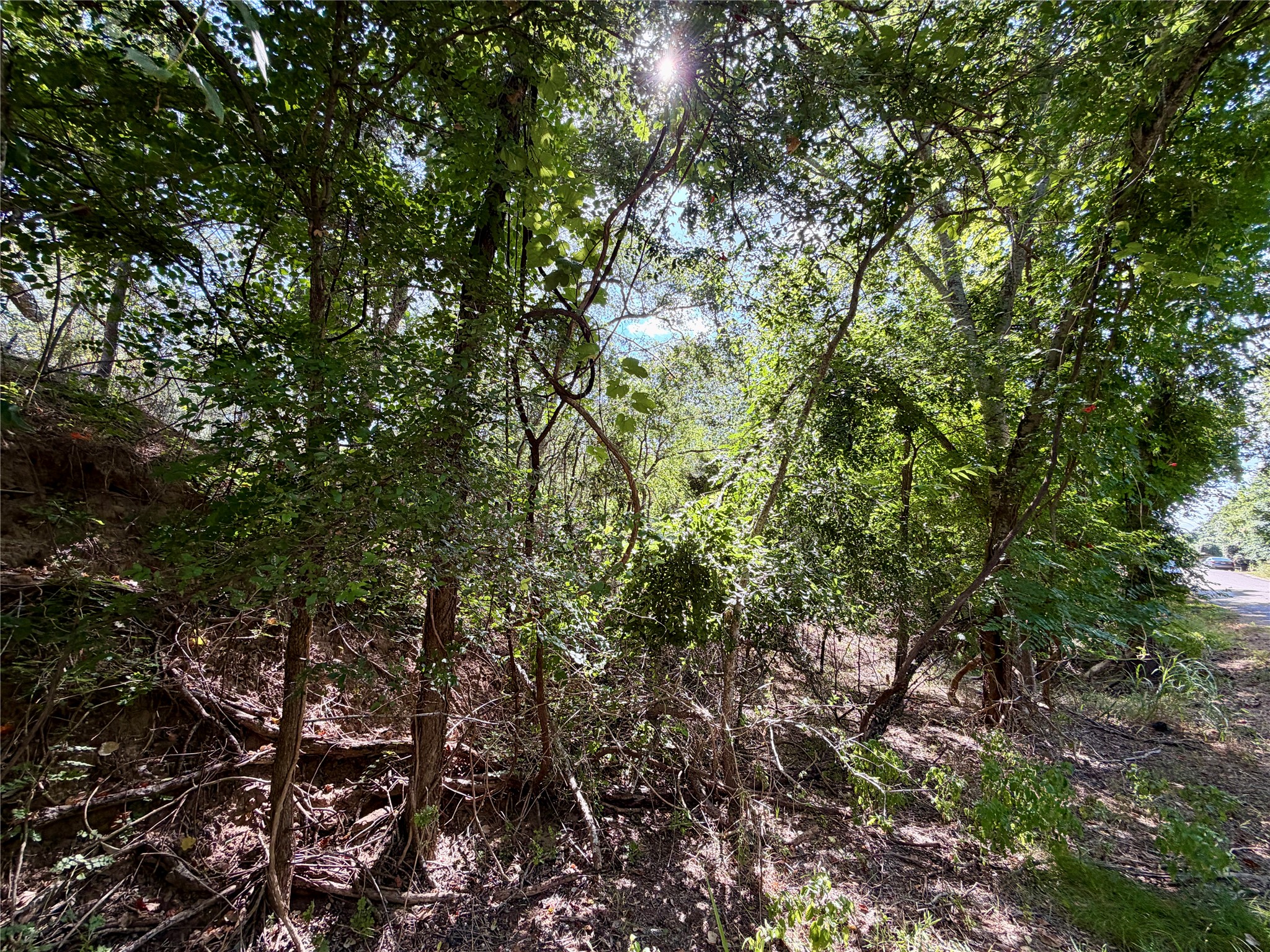 main property photo 6