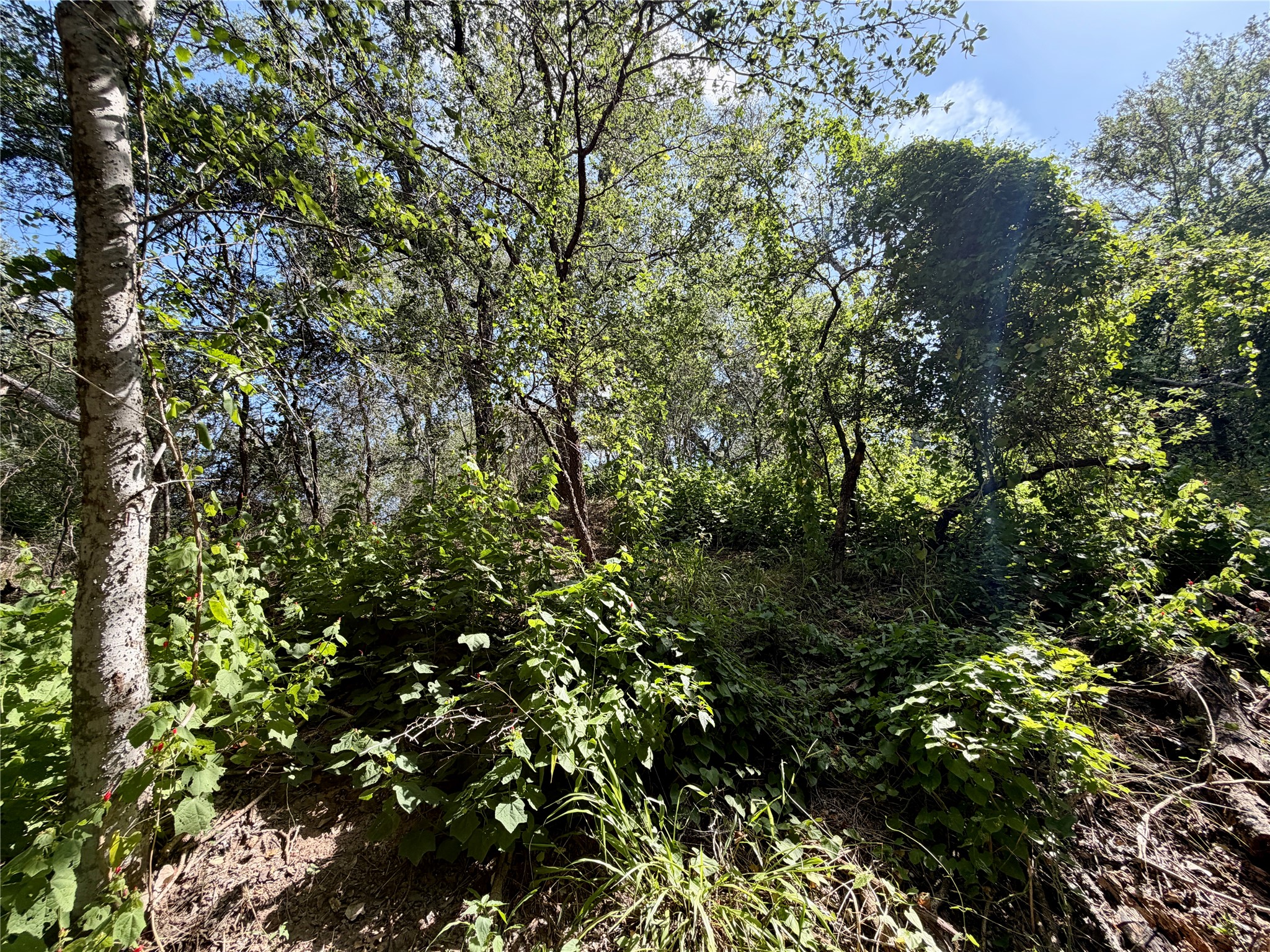 main property photo 8