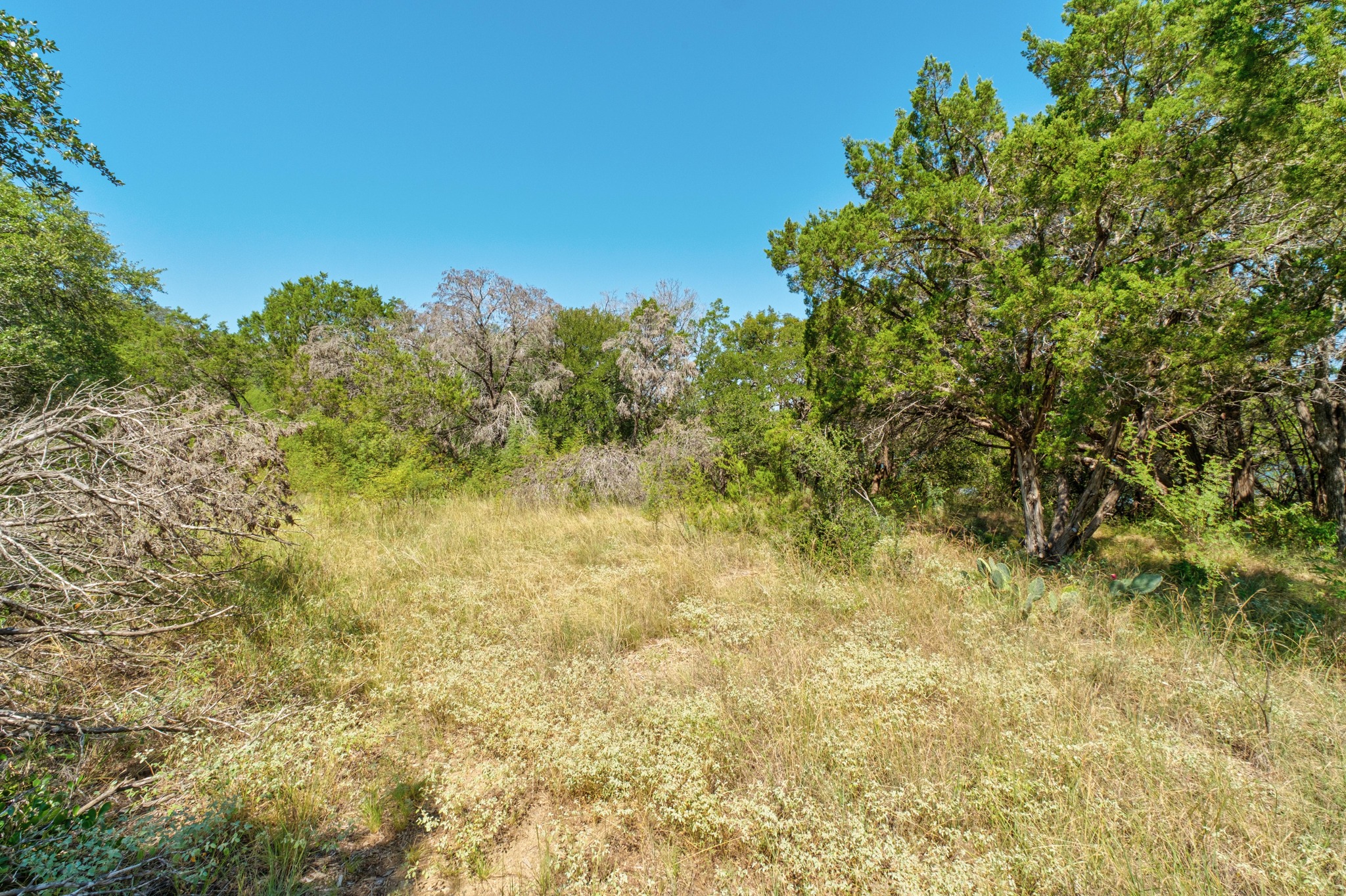 main property photo 11