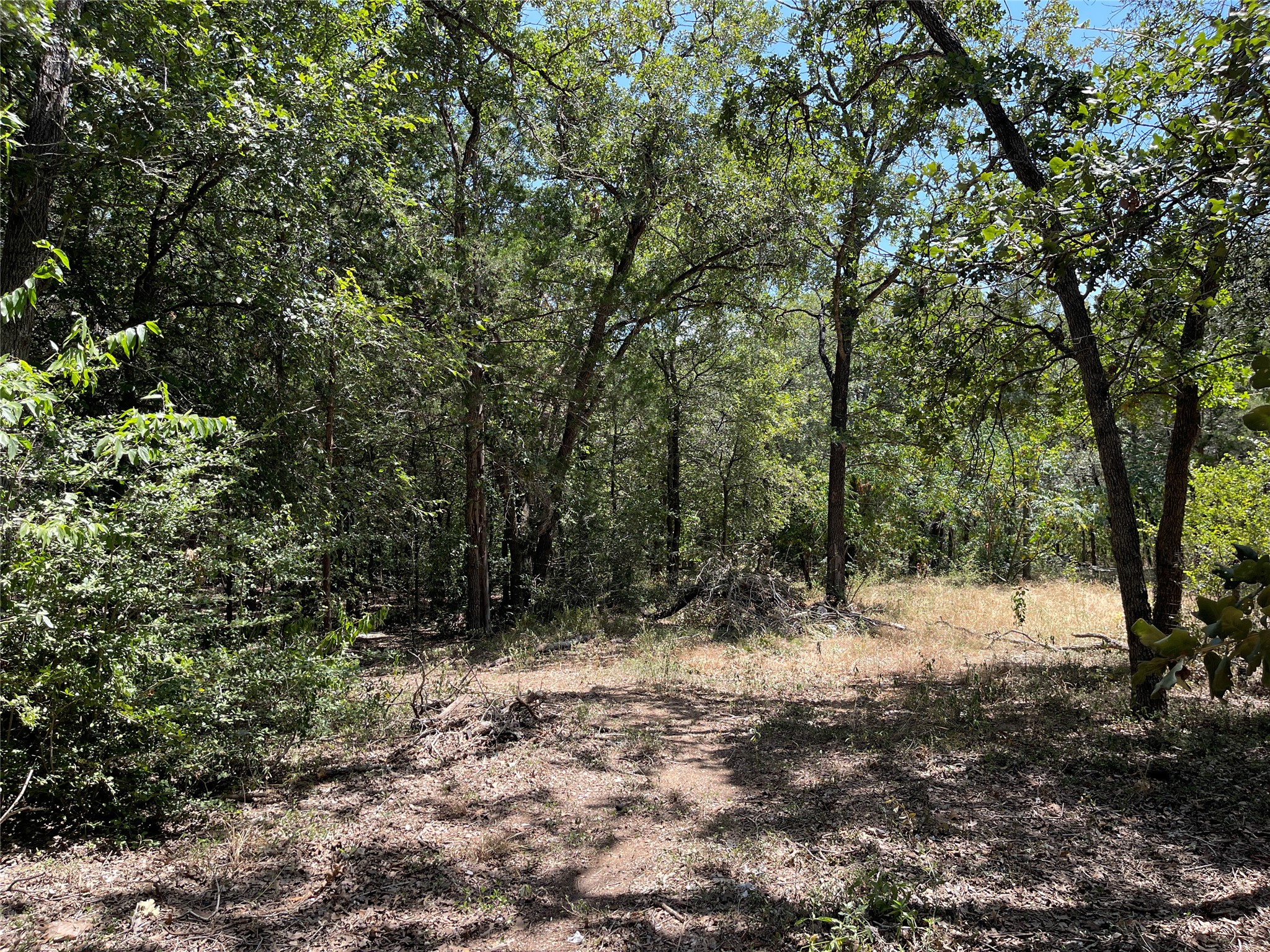 main property photo 19