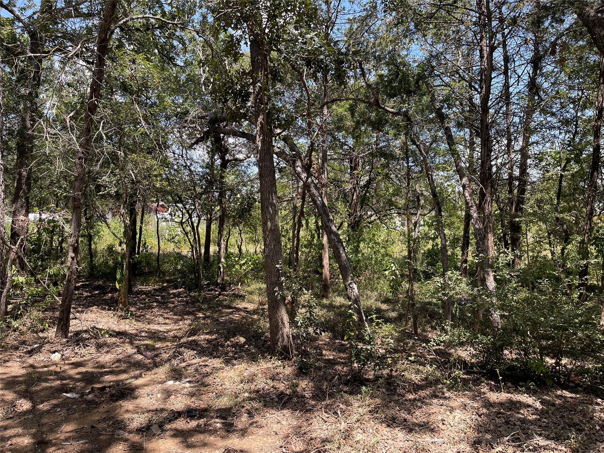 main property photo 21