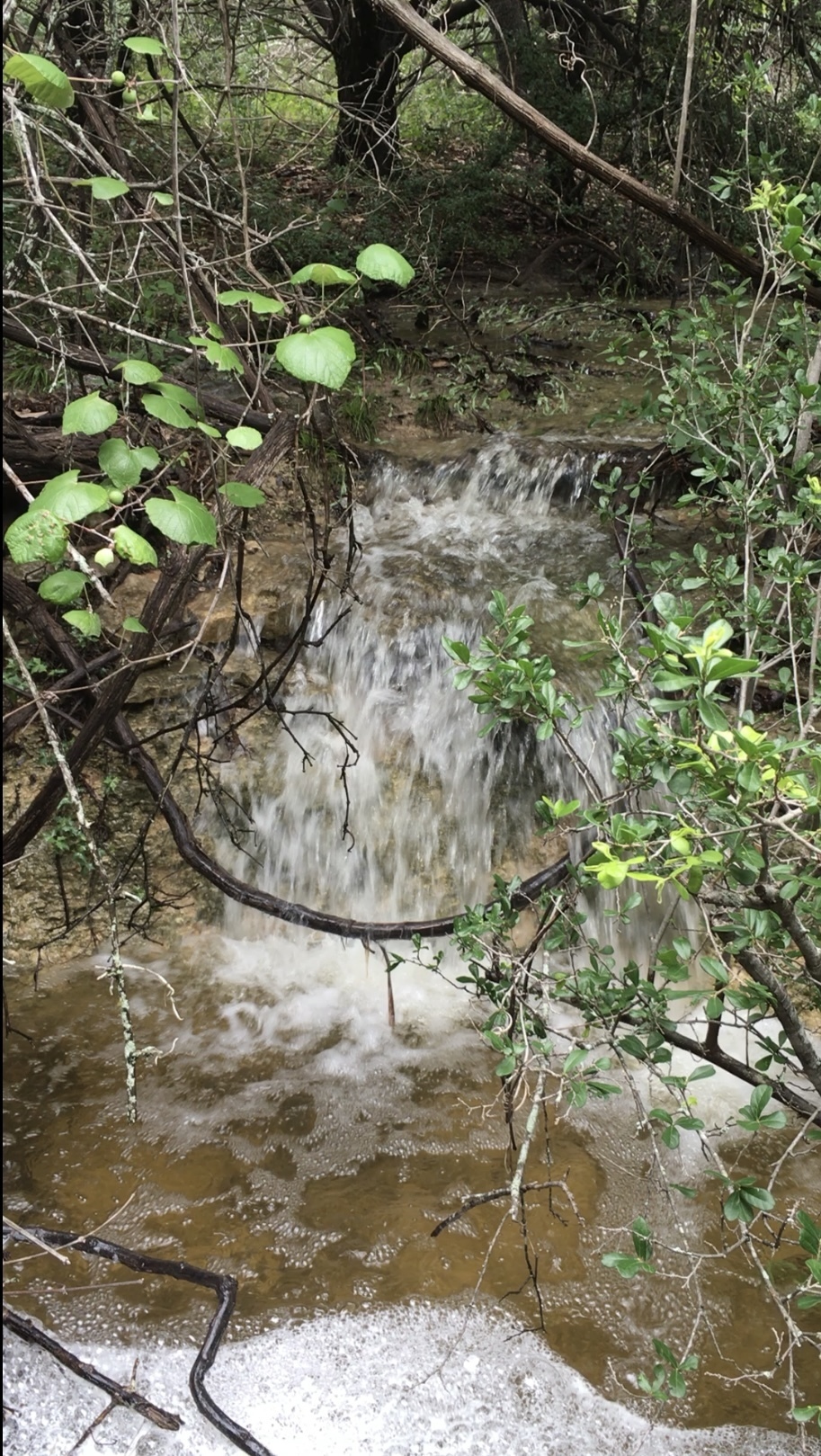 main property photo 35