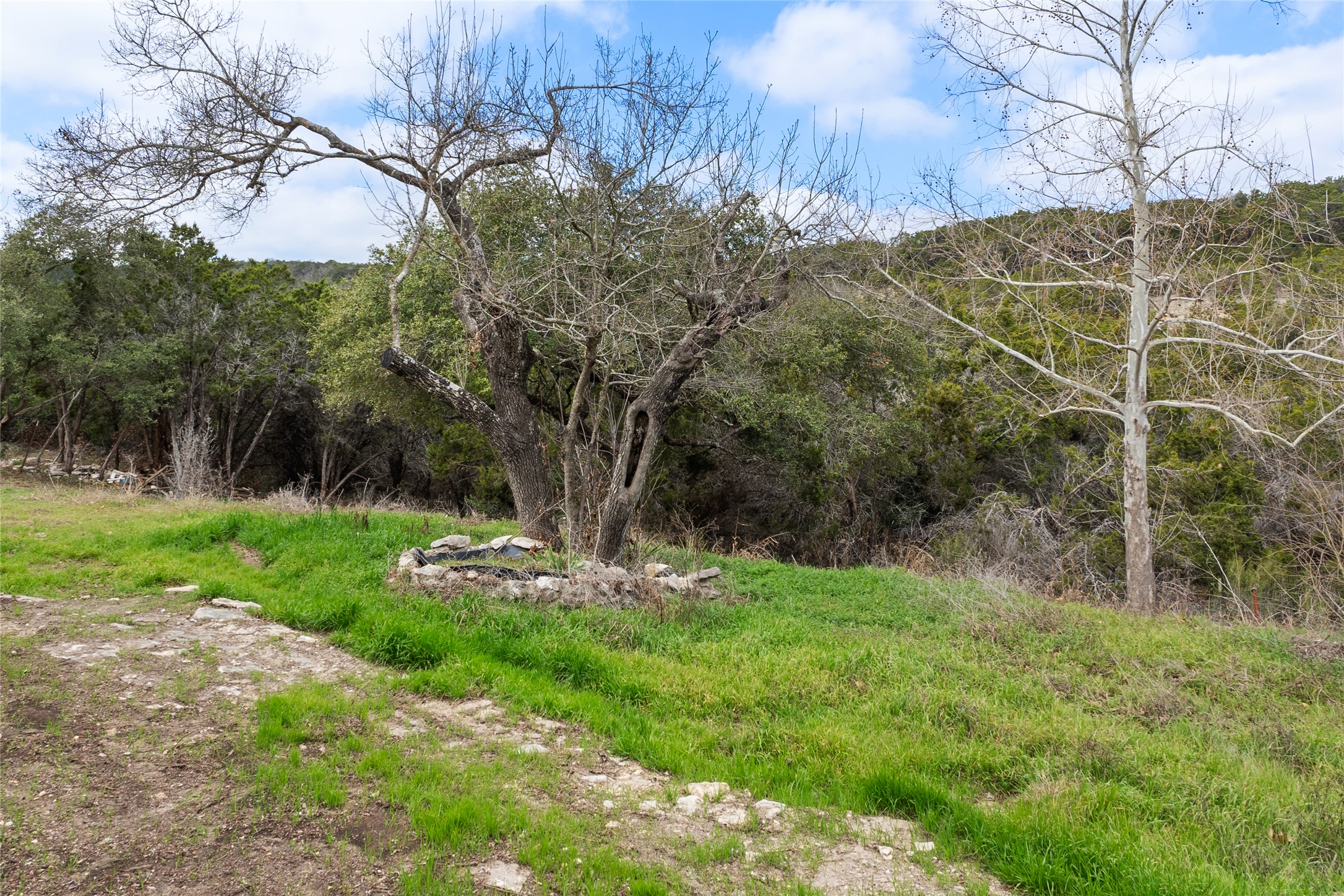 main property photo 13