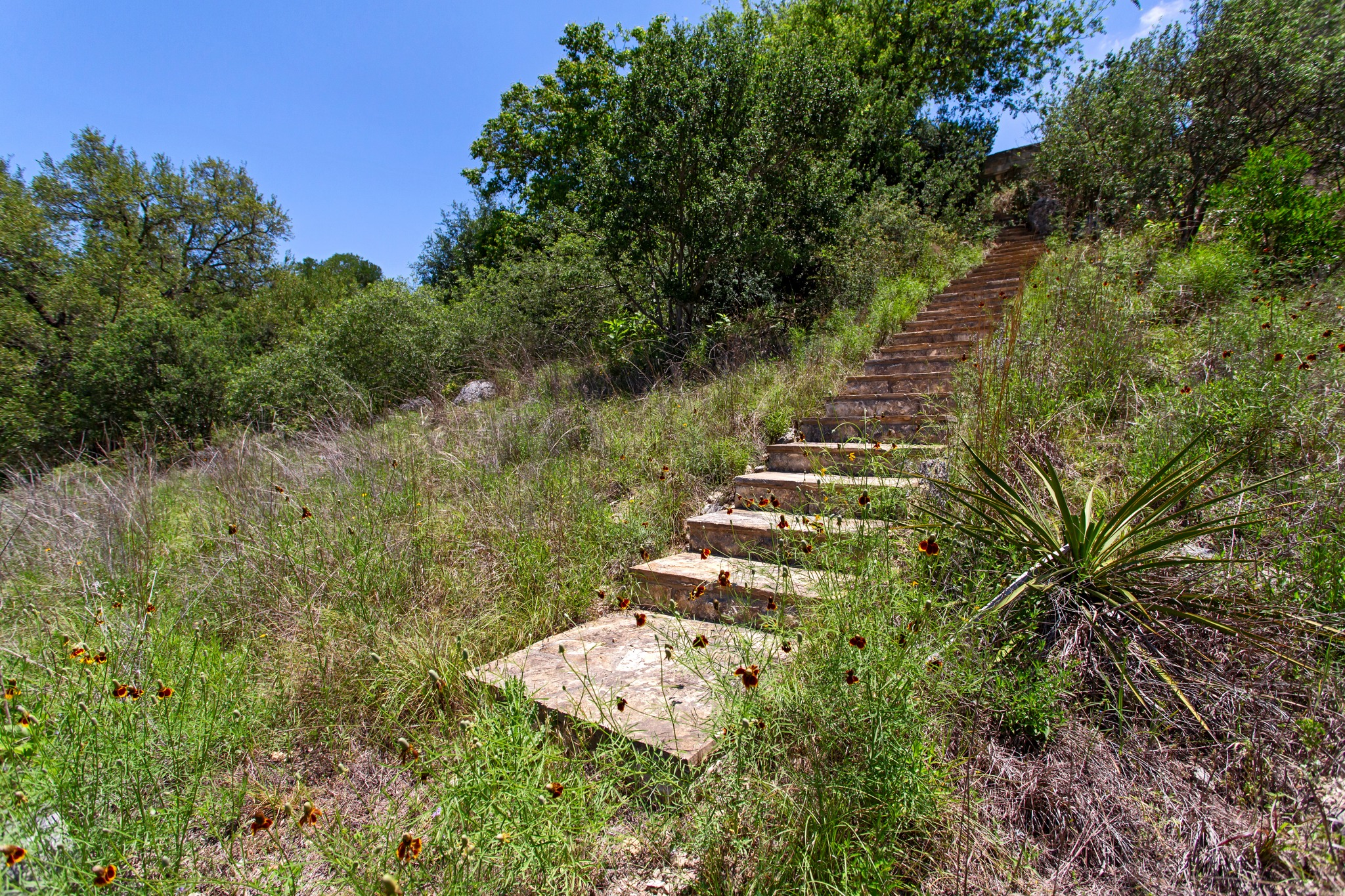 main property photo 36