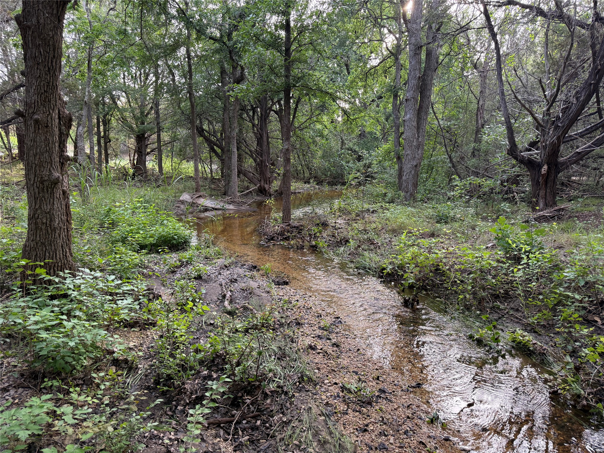 main property photo 24