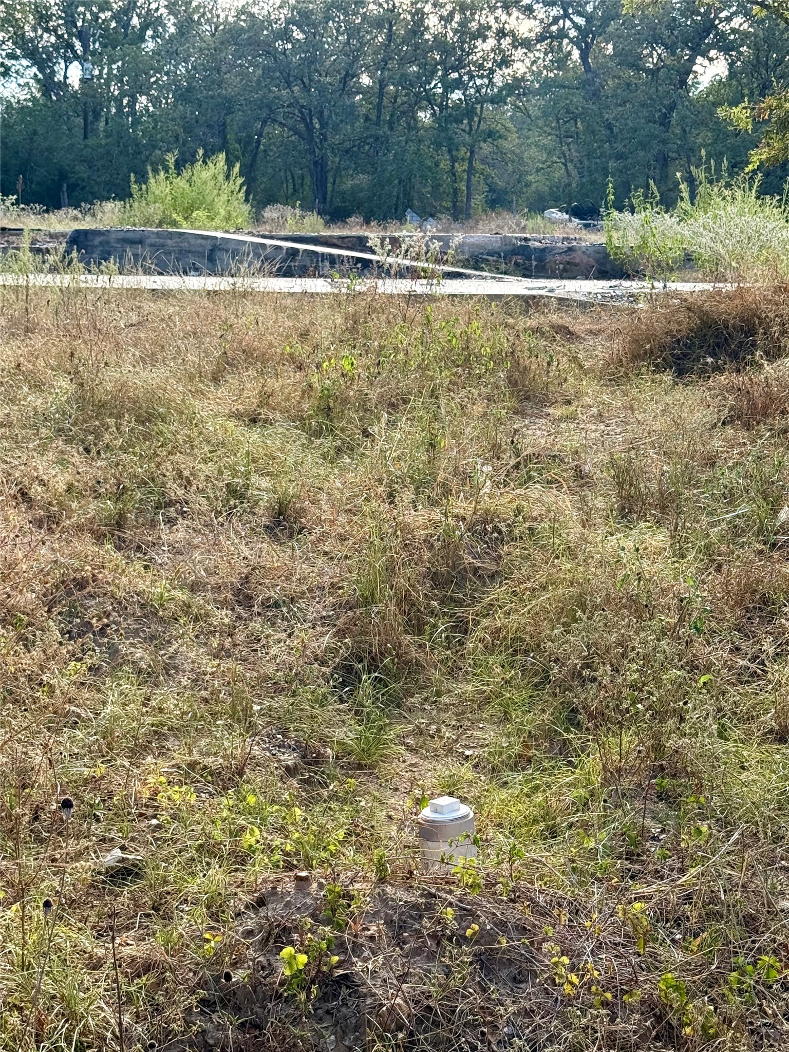 main property photo 9