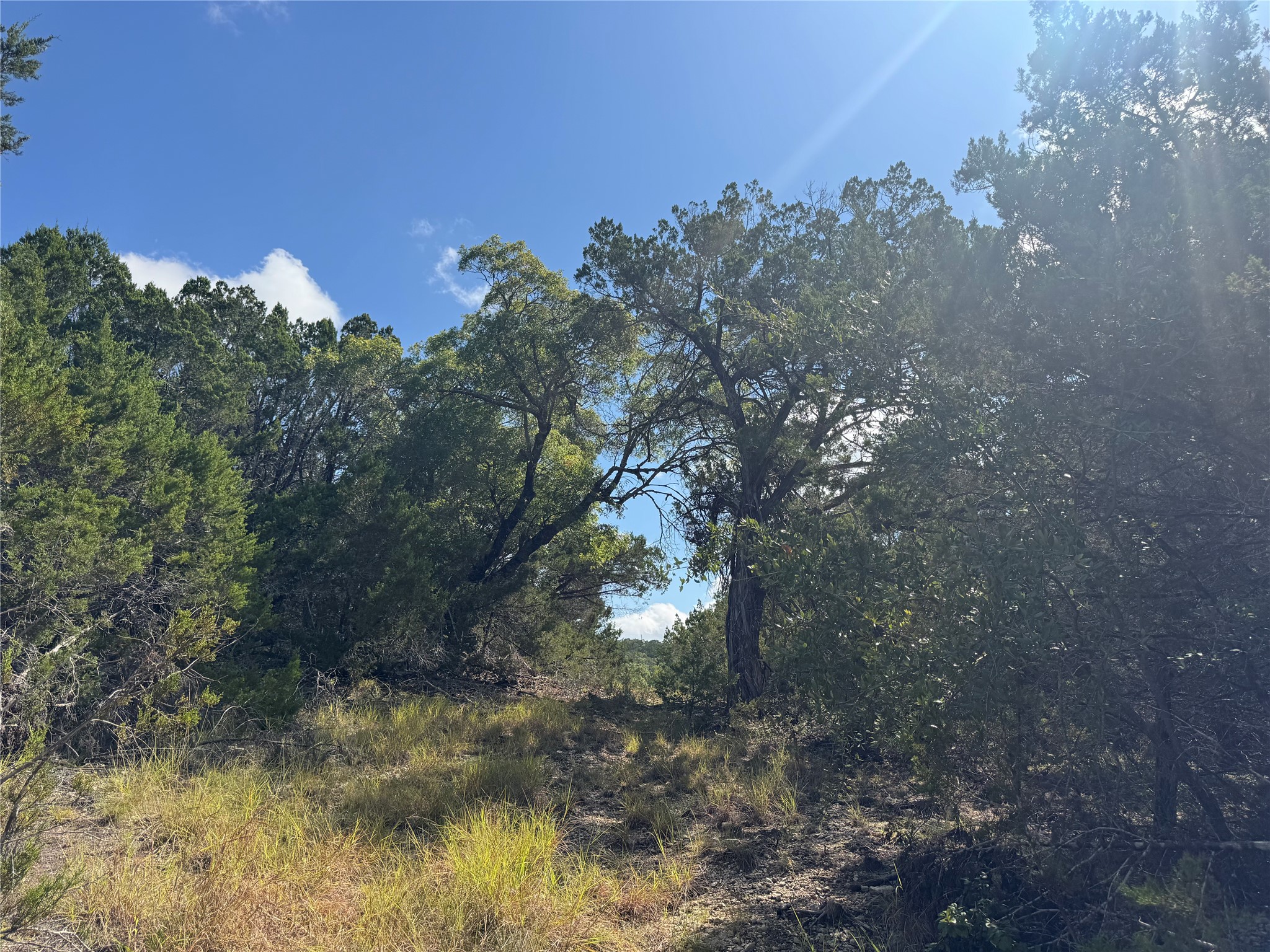 main property photo 10