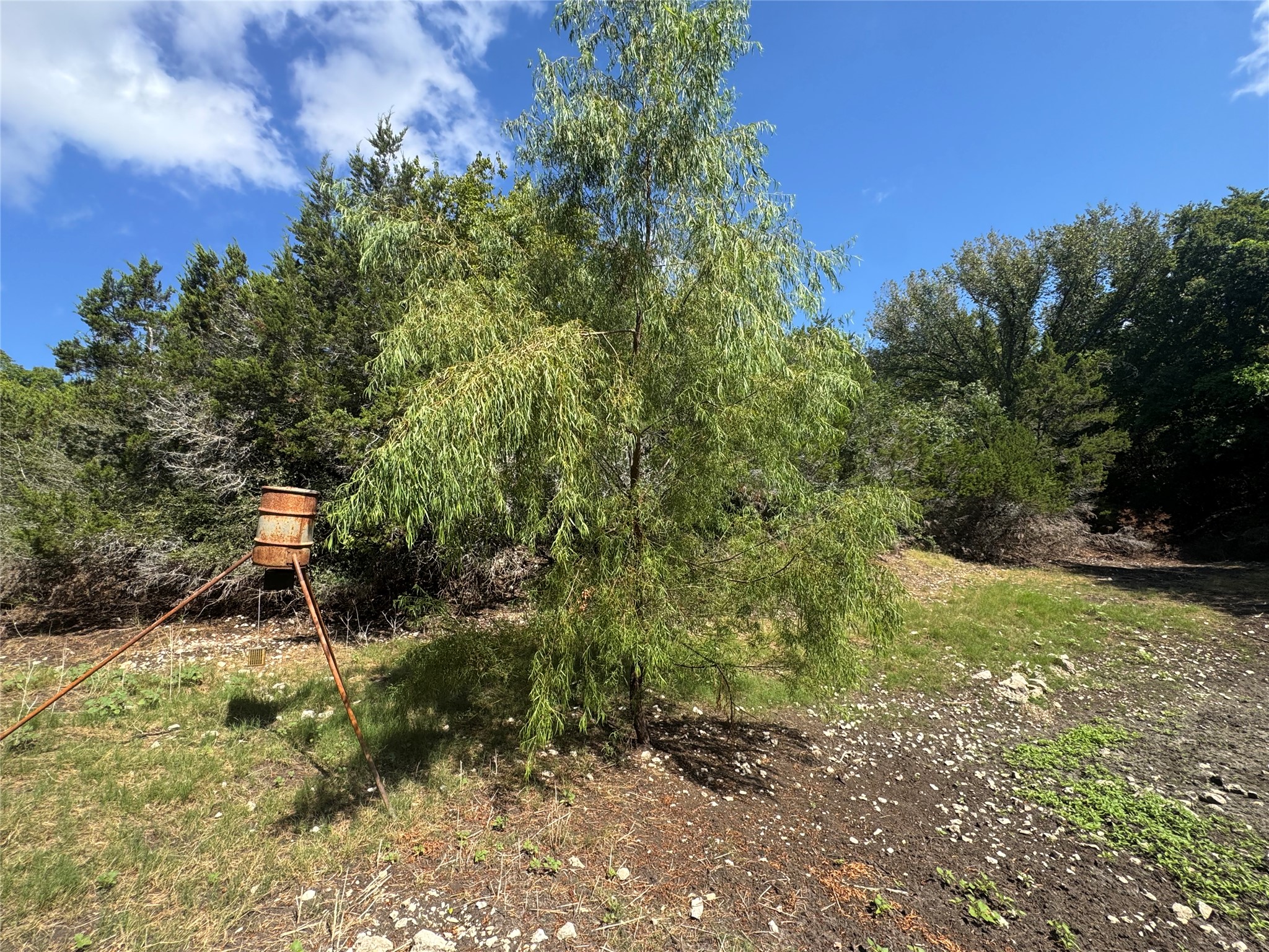 main property photo 16