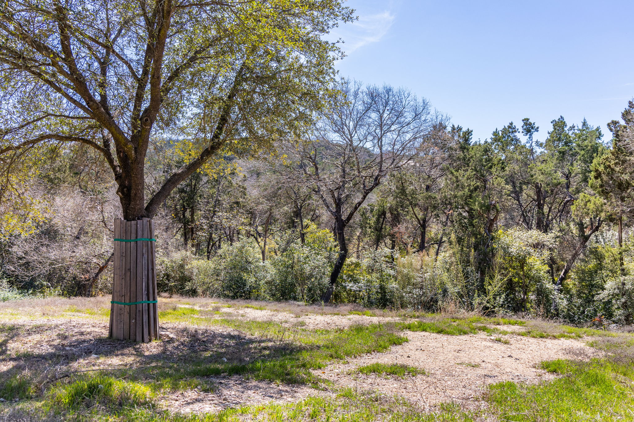 main property photo 6