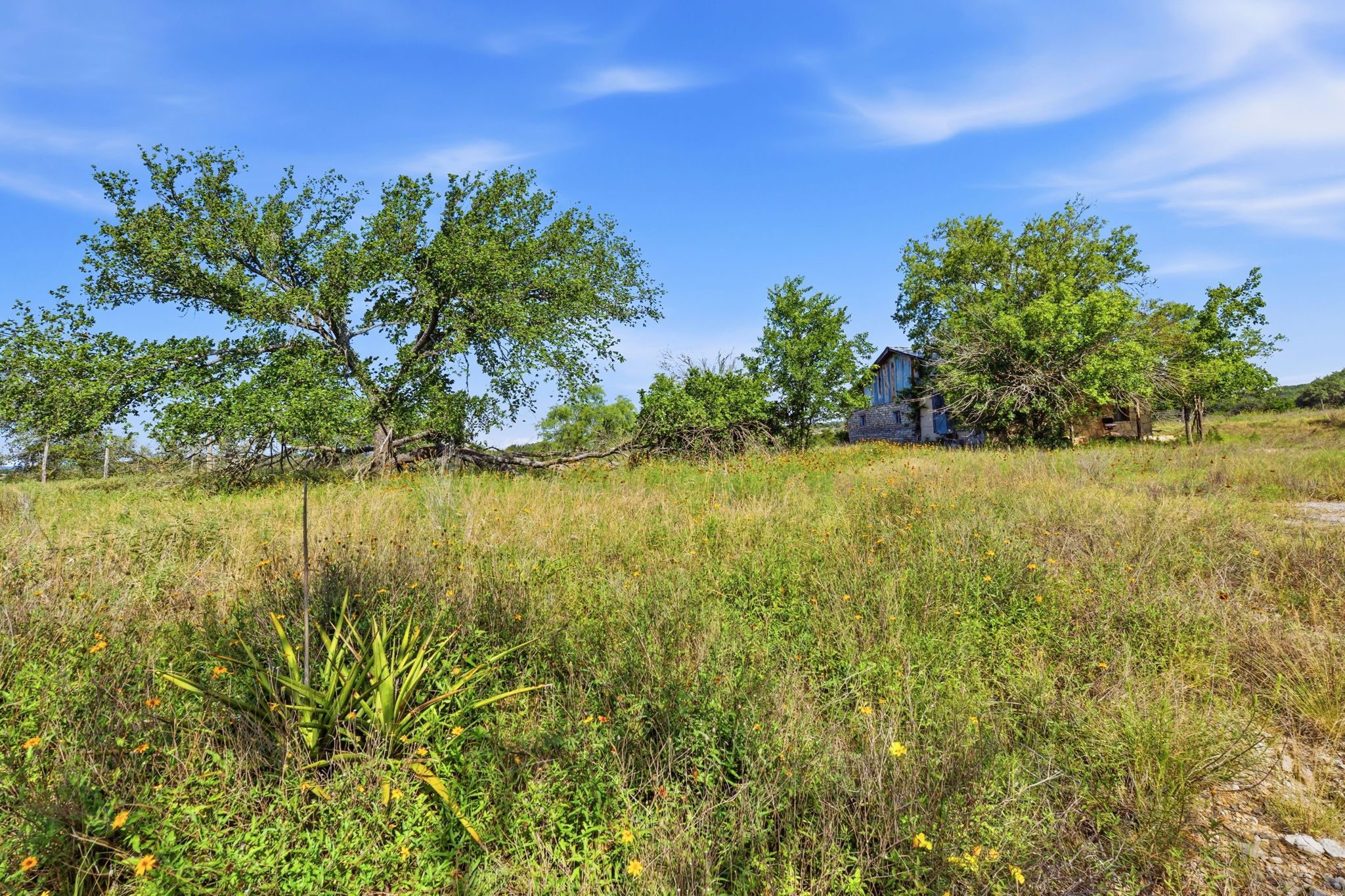 main property photo 11