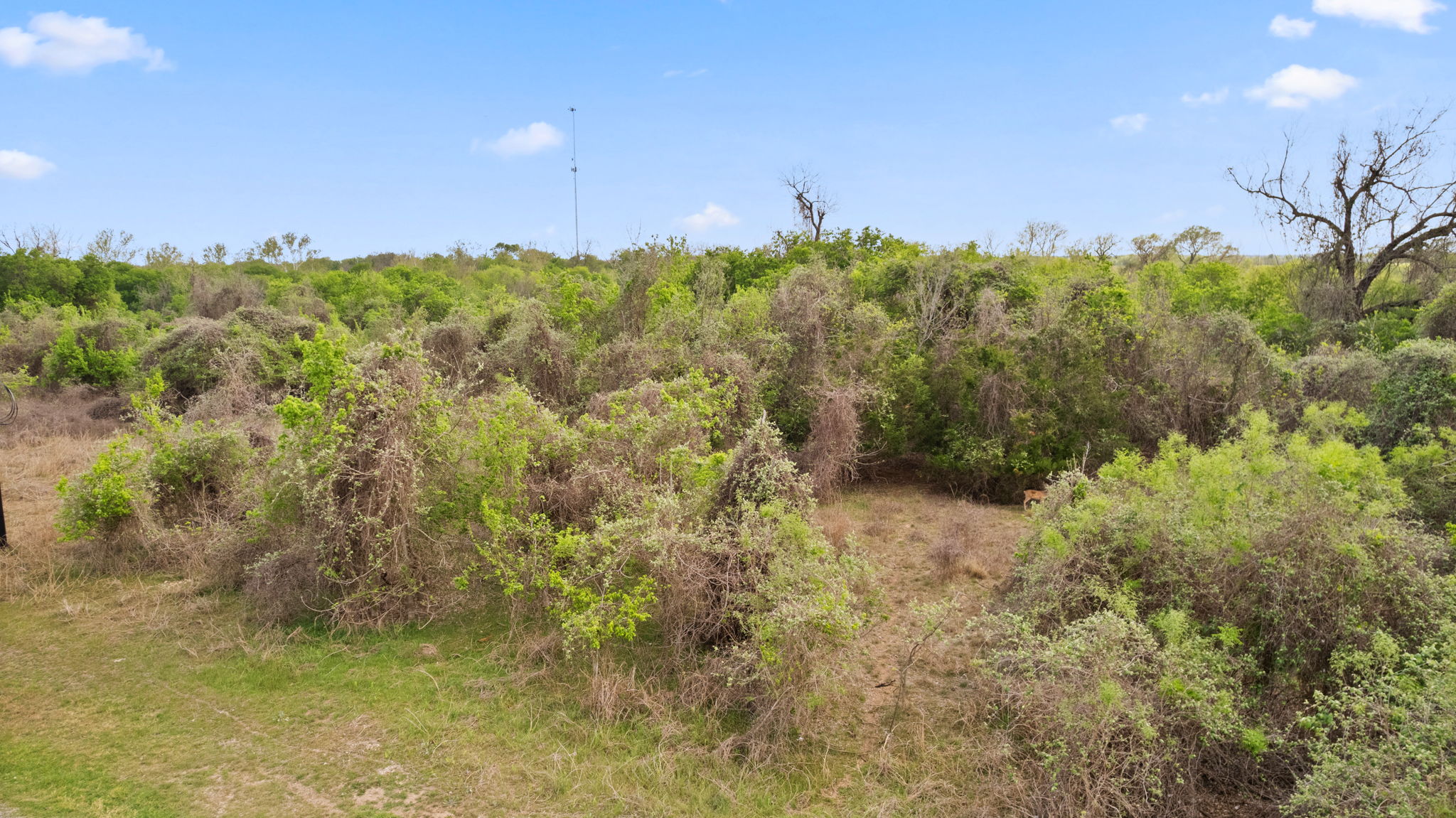 main property photo 25