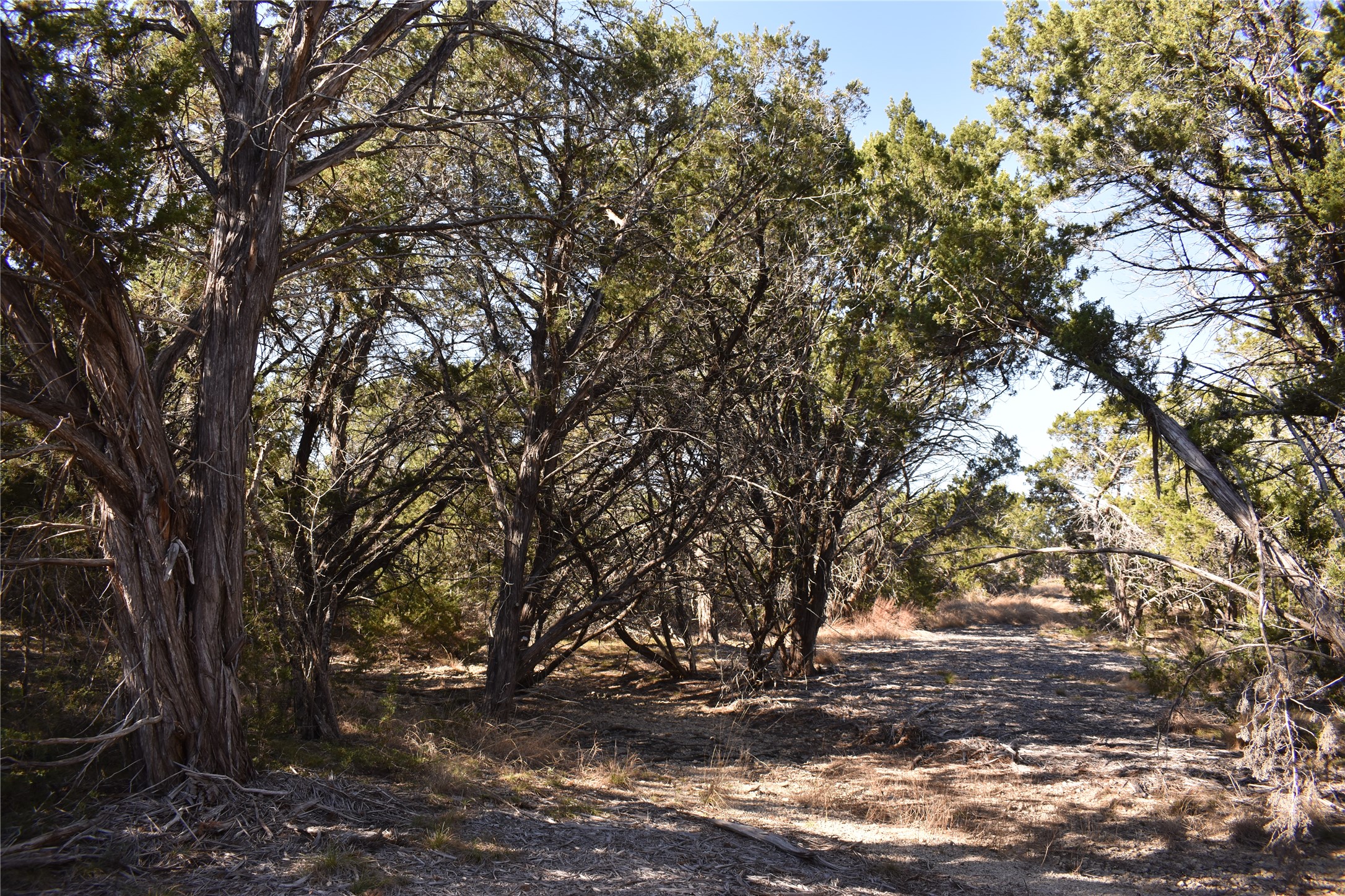 main property photo 13
