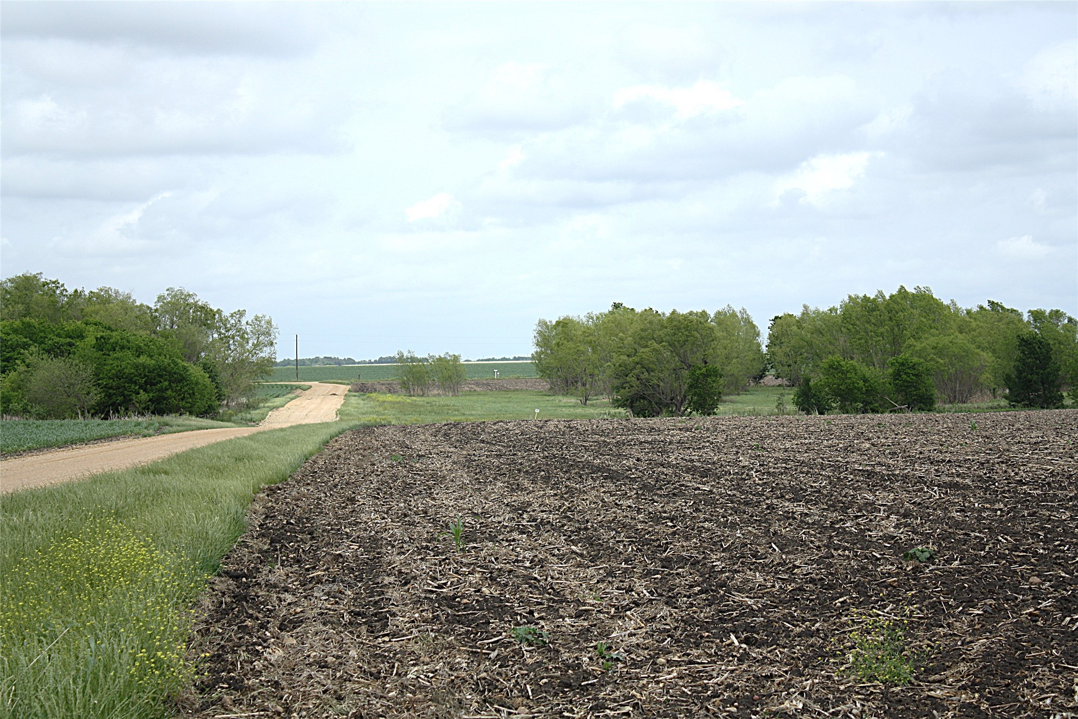 main property photo 23