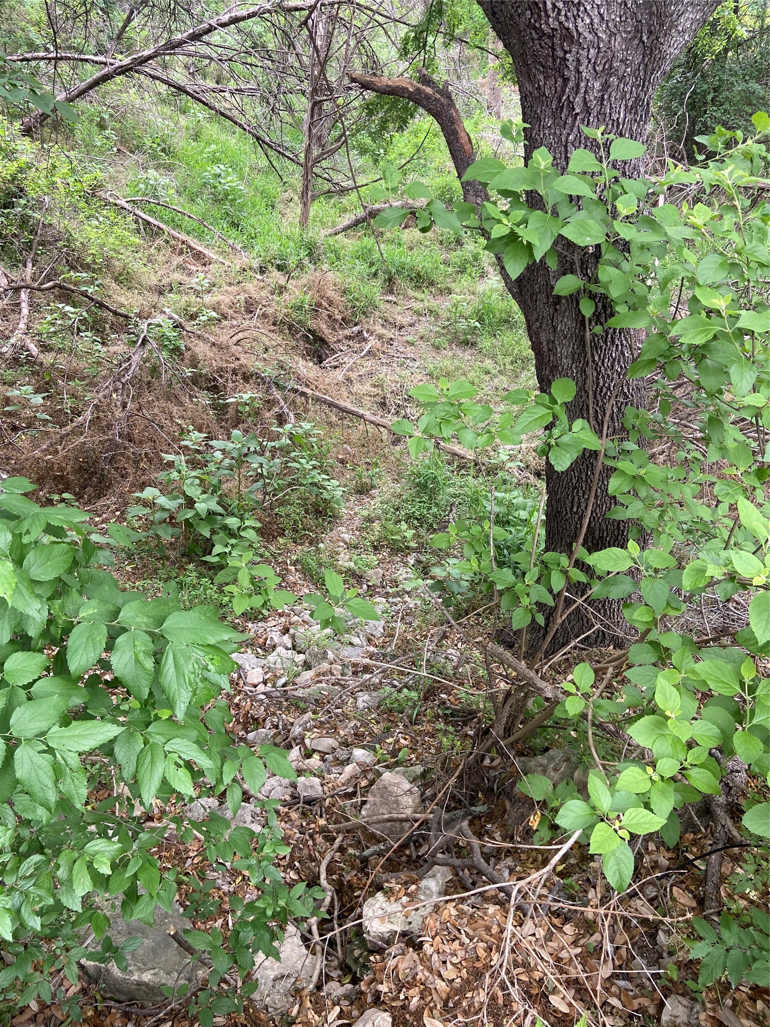 main property photo 6
