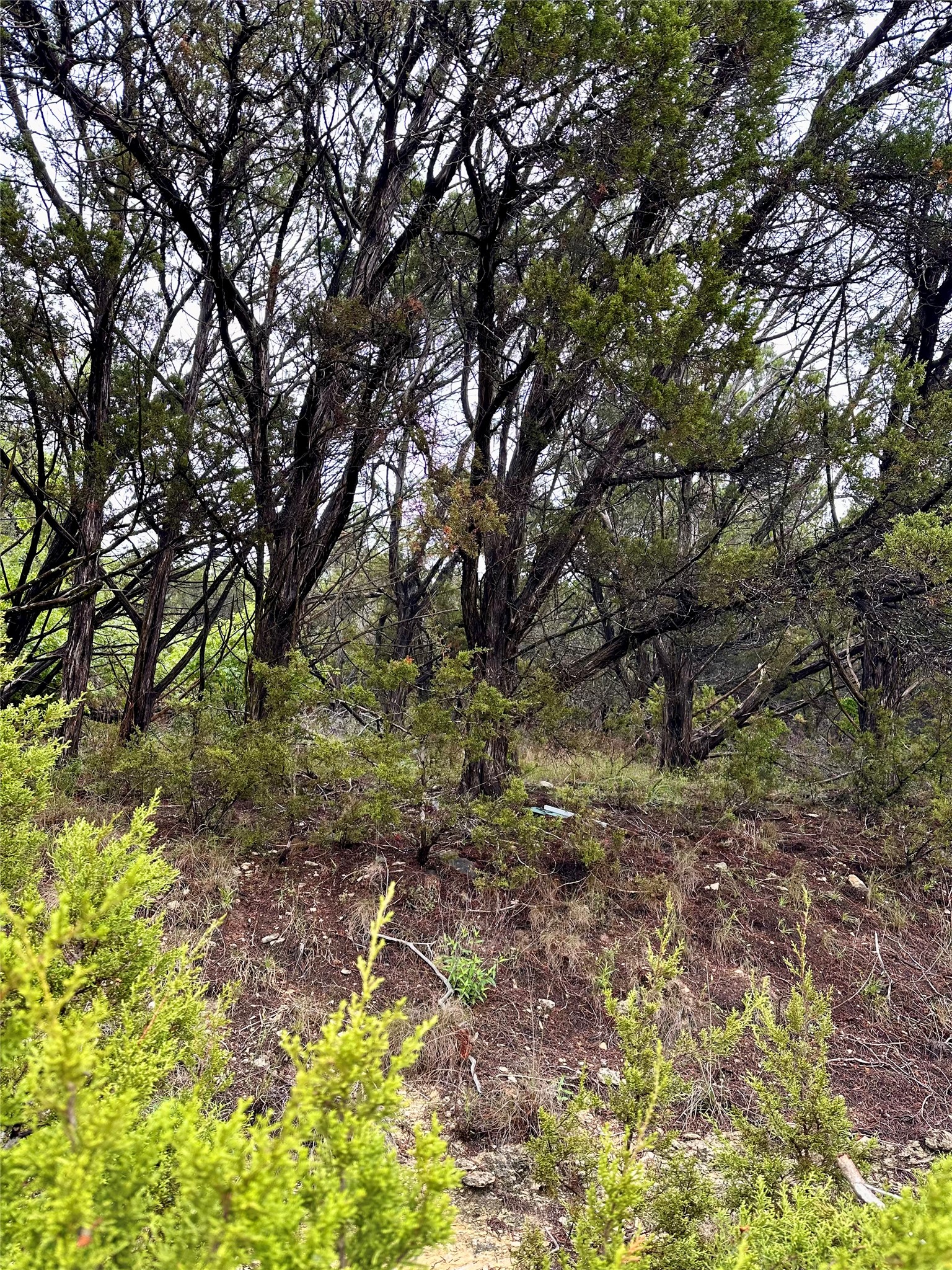 main property photo 10