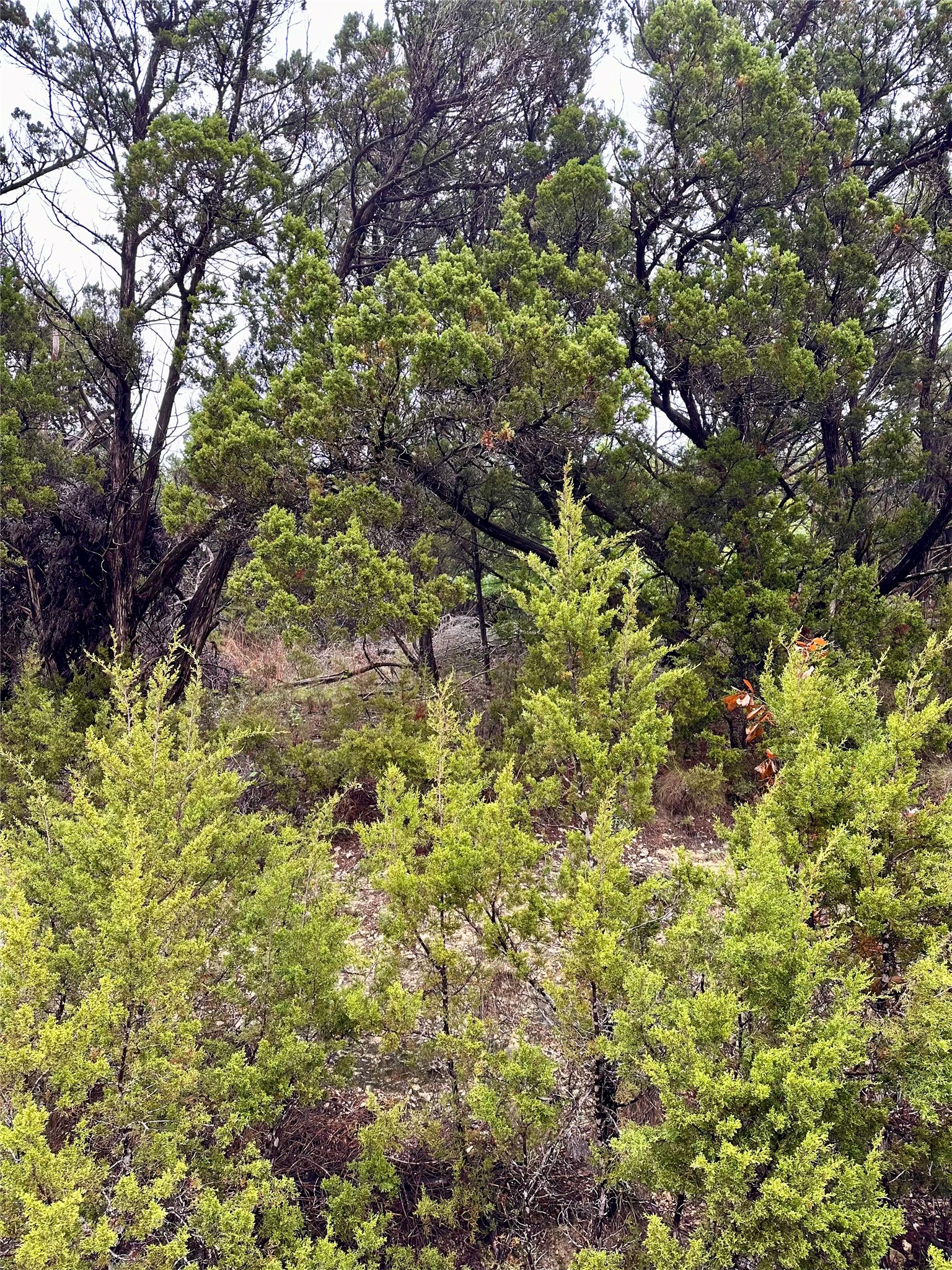 main property photo 11