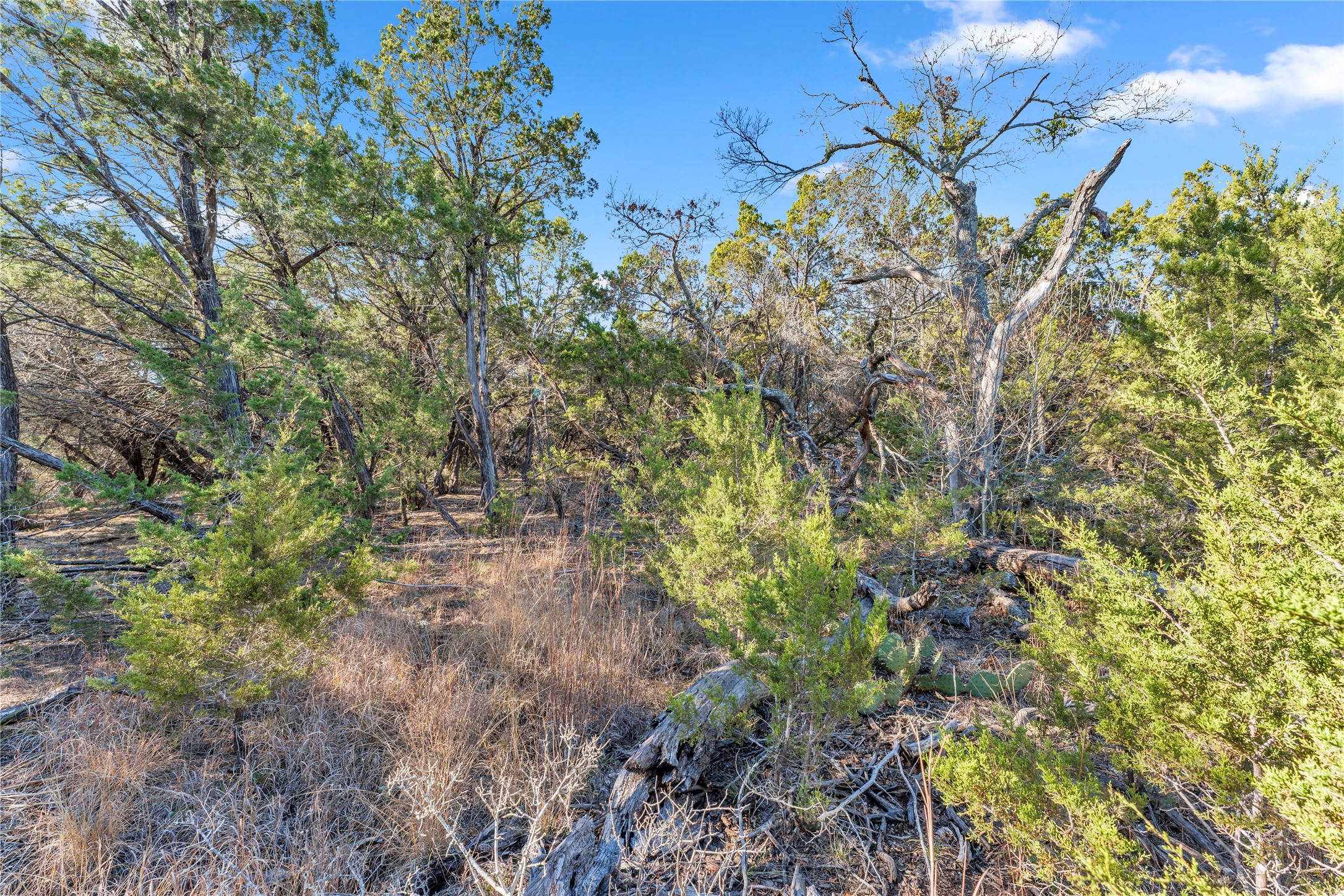 main property photo 11