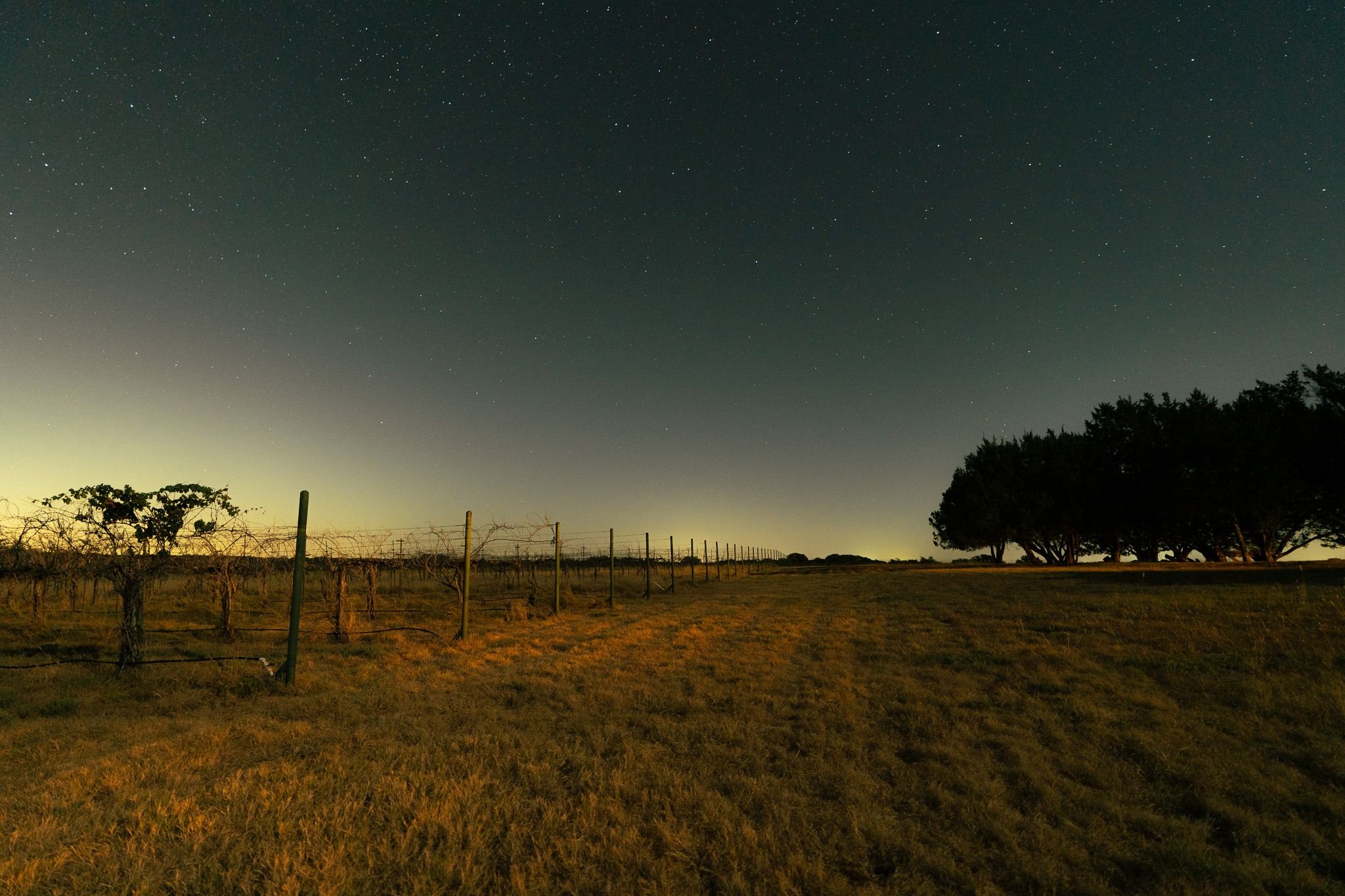 main property photo 29