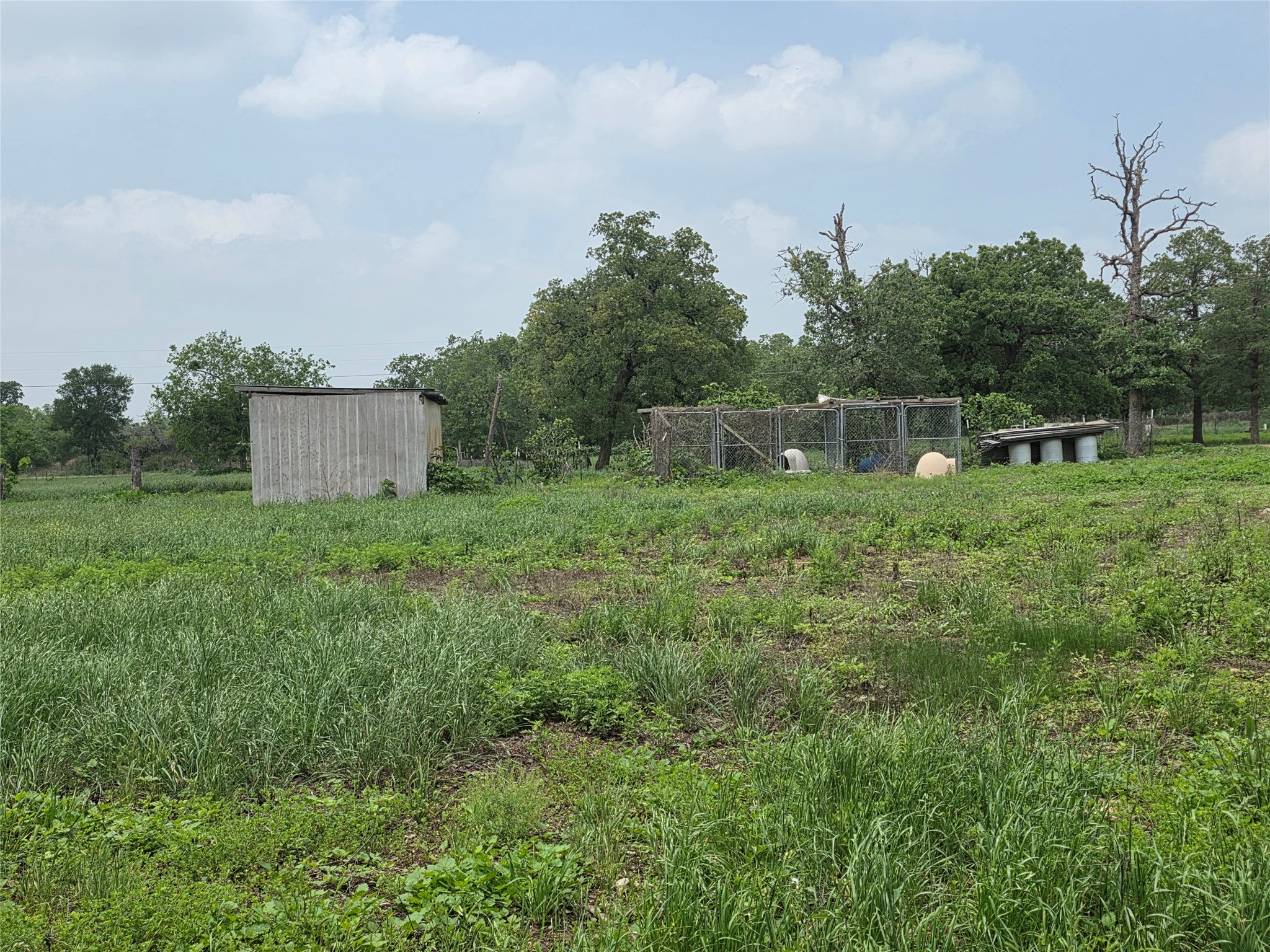 main property photo 31