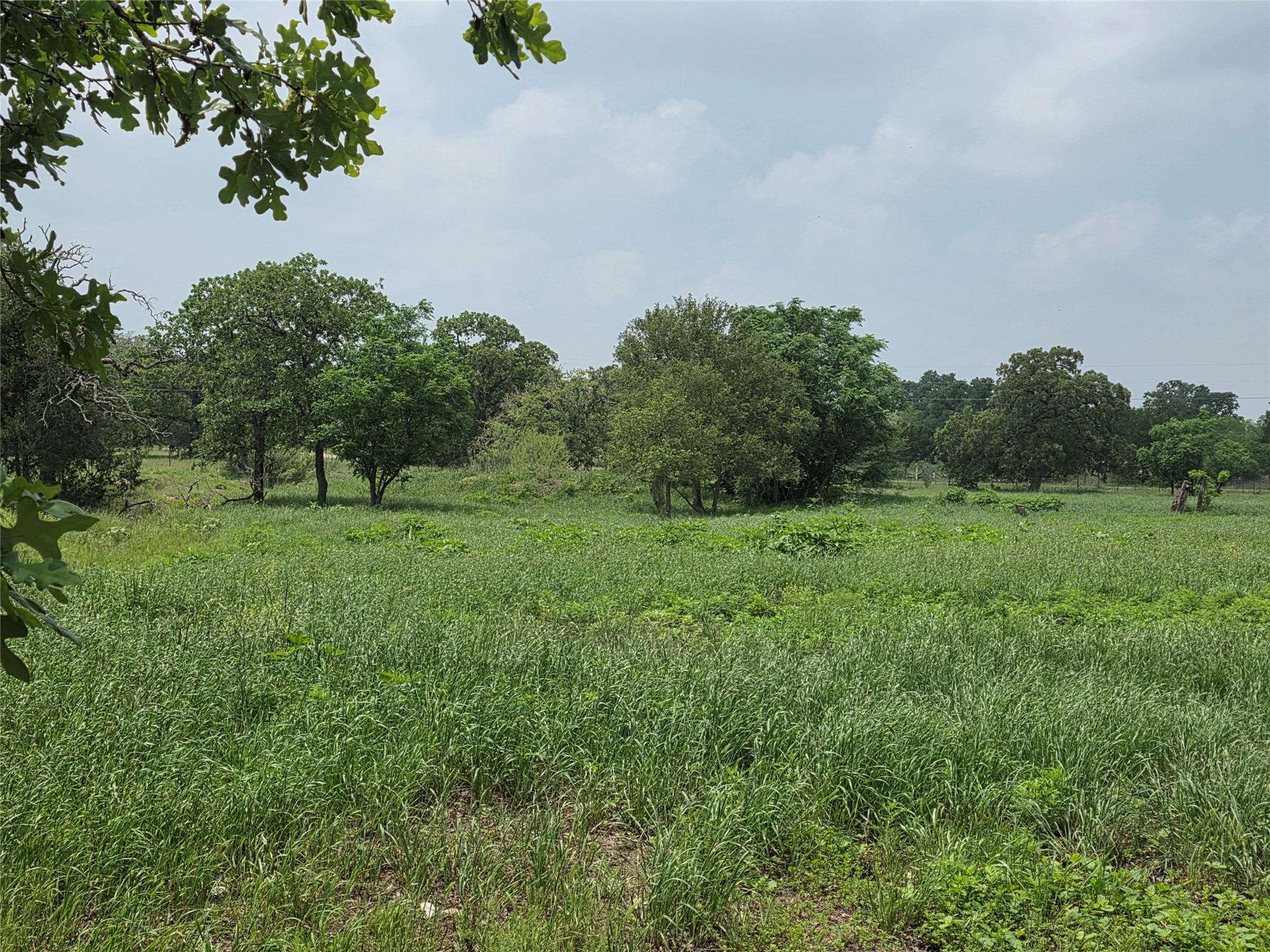 main property photo 32