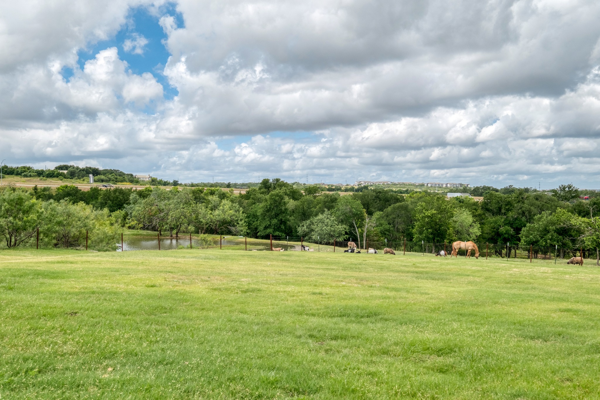 main property photo 7