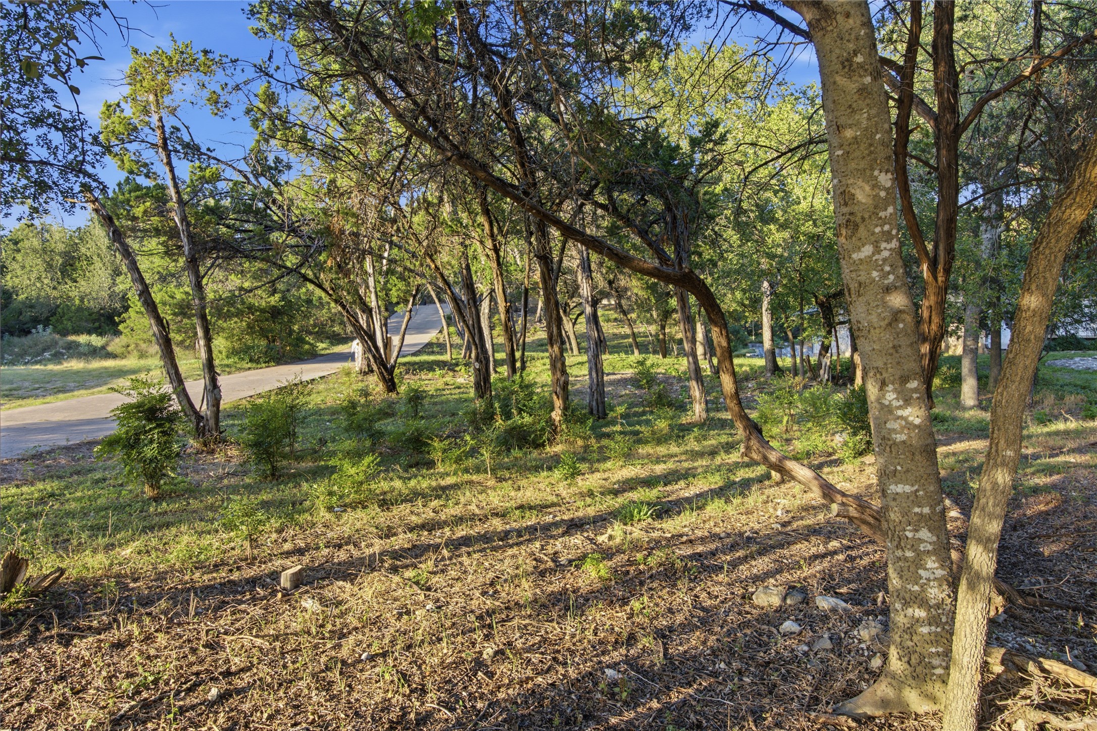 main property photo 36