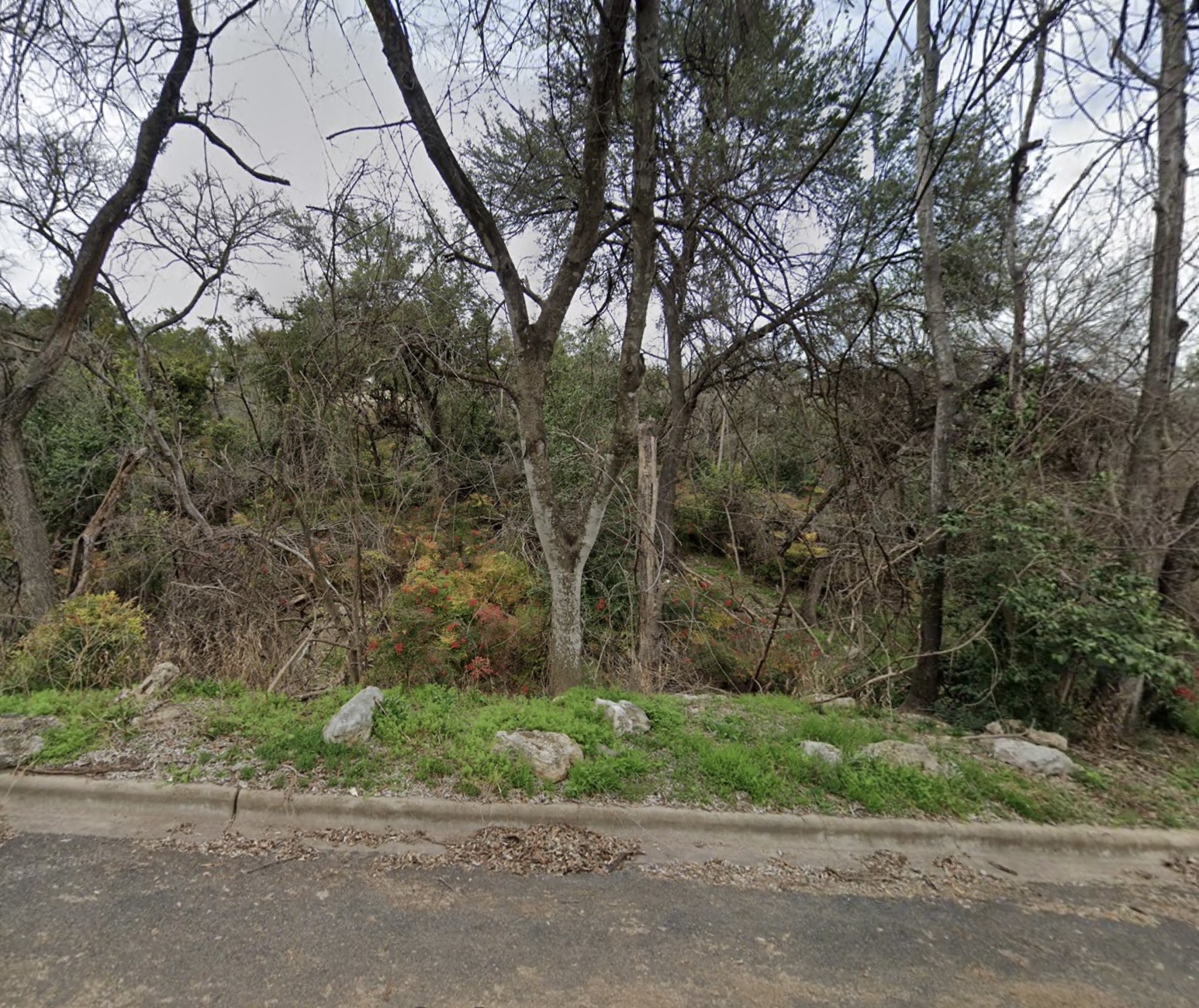 main property photo 3