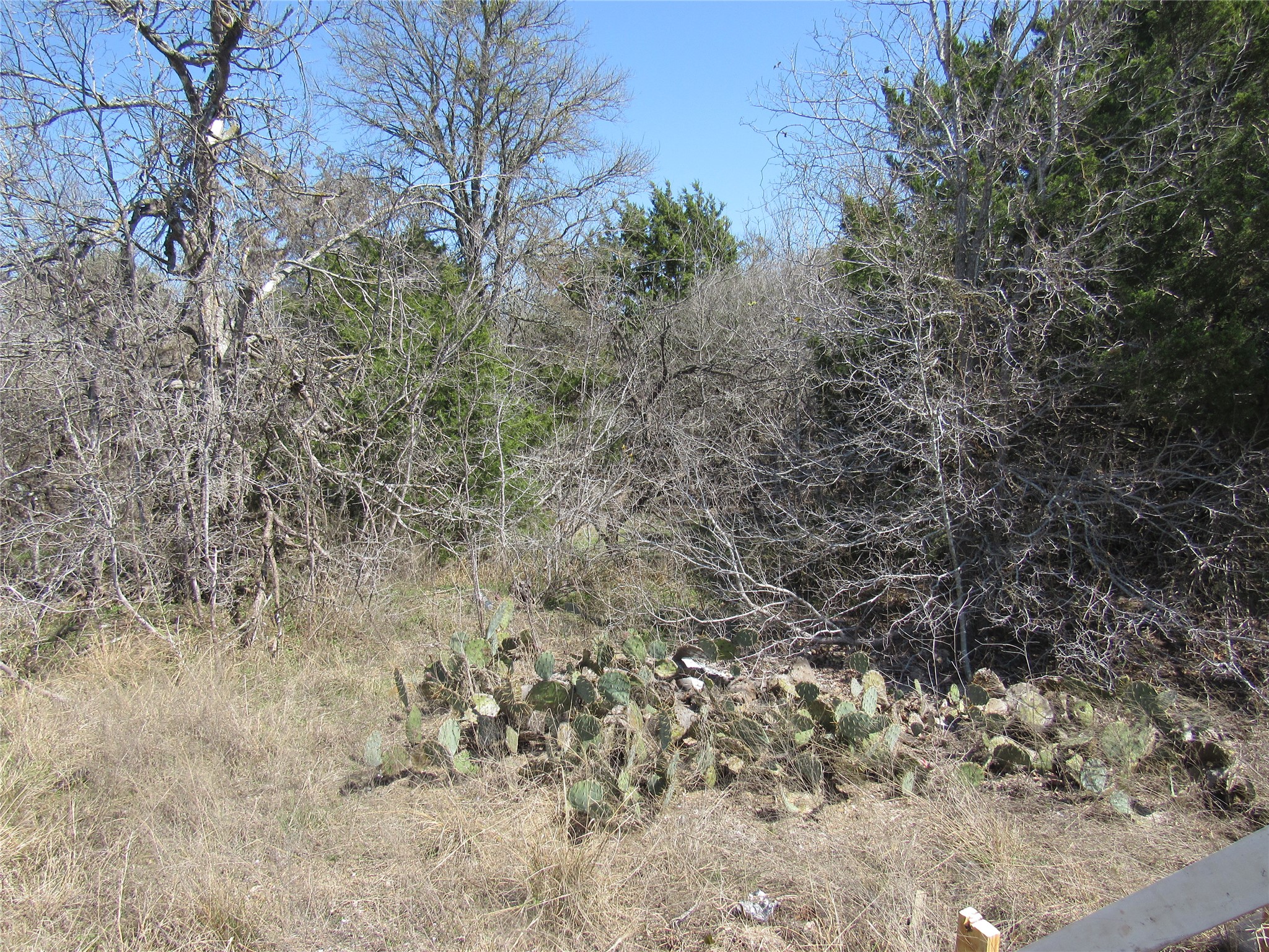 main property photo 9