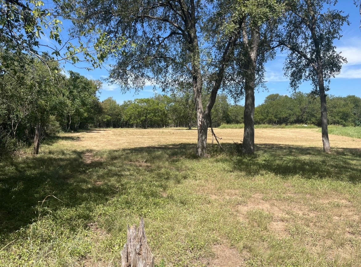 main property photo 33