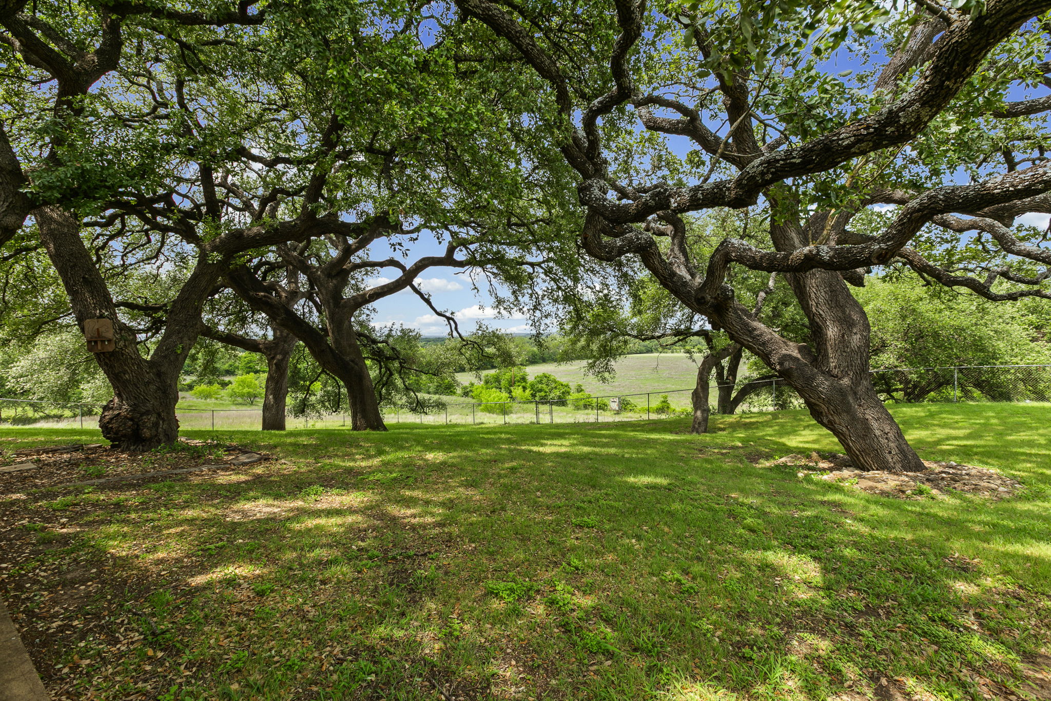 main property photo 25