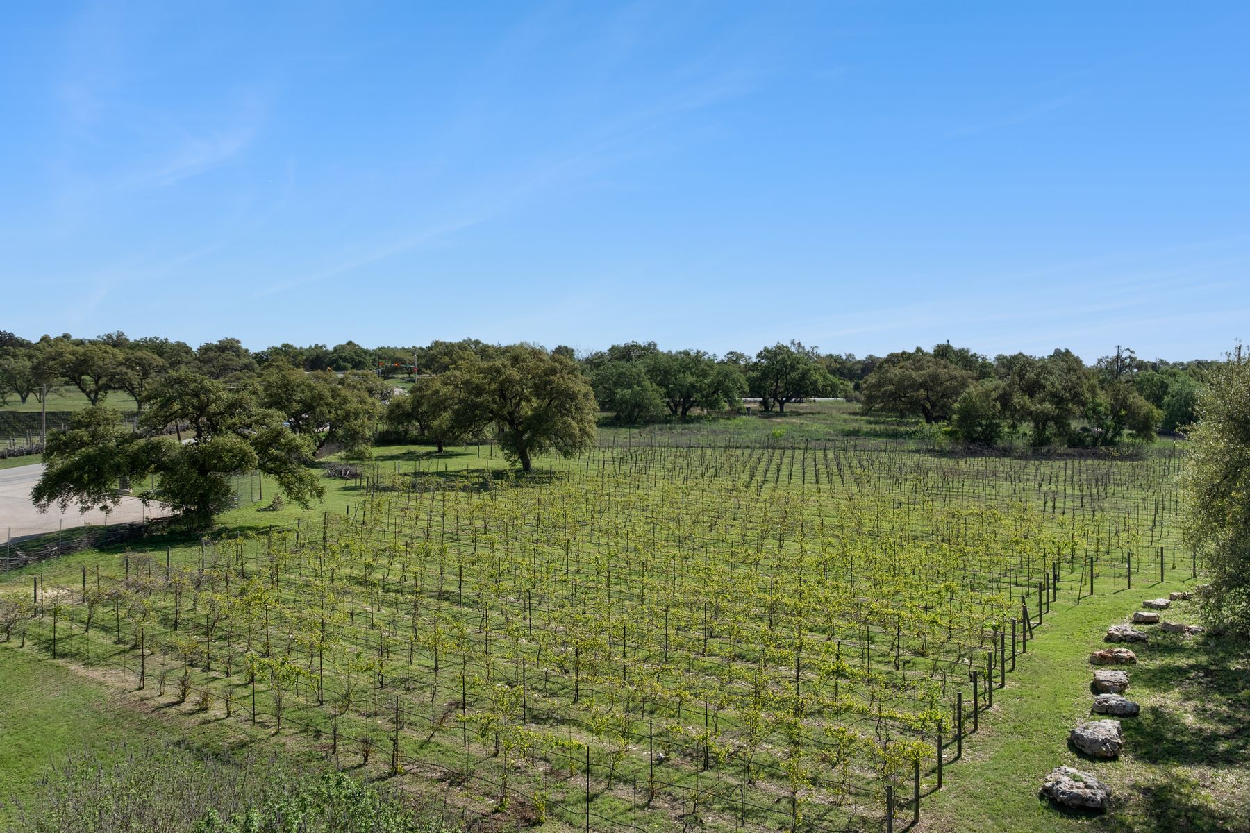 main property photo 11