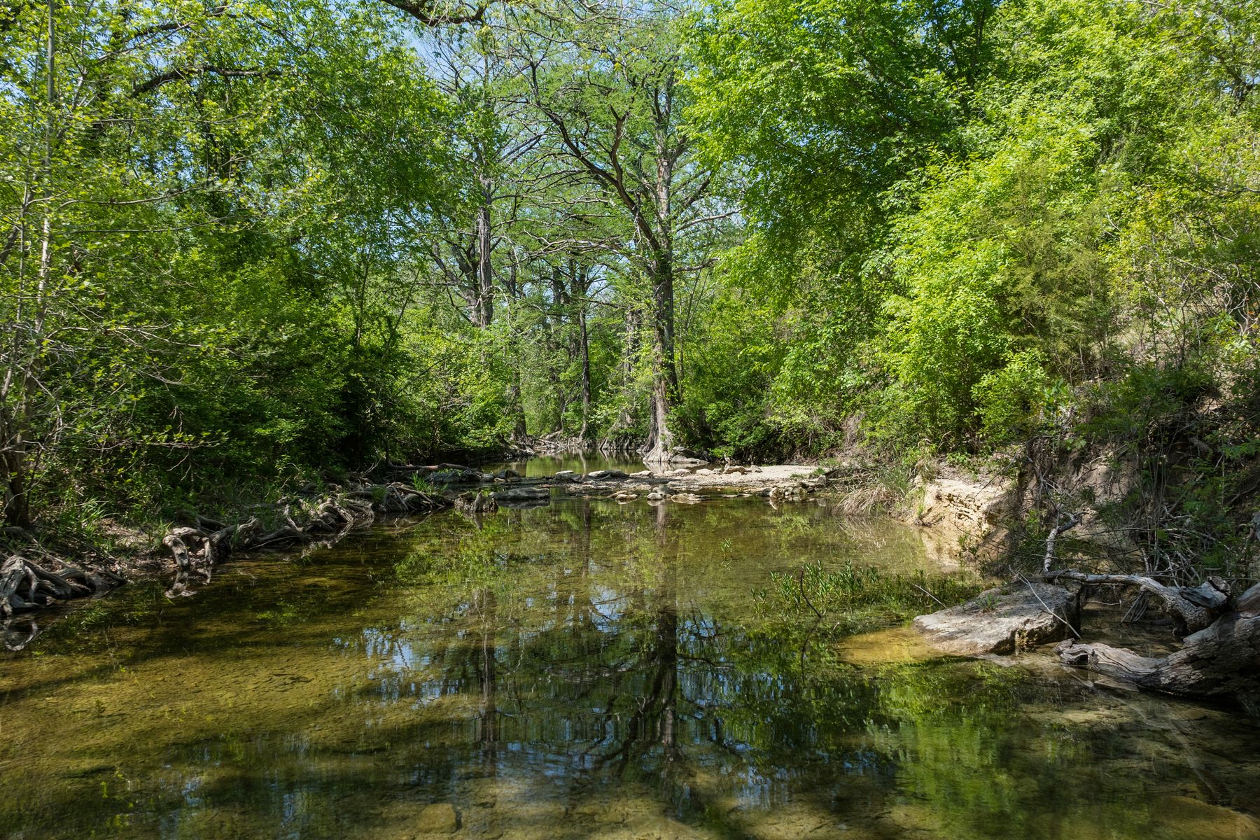 main property photo 13