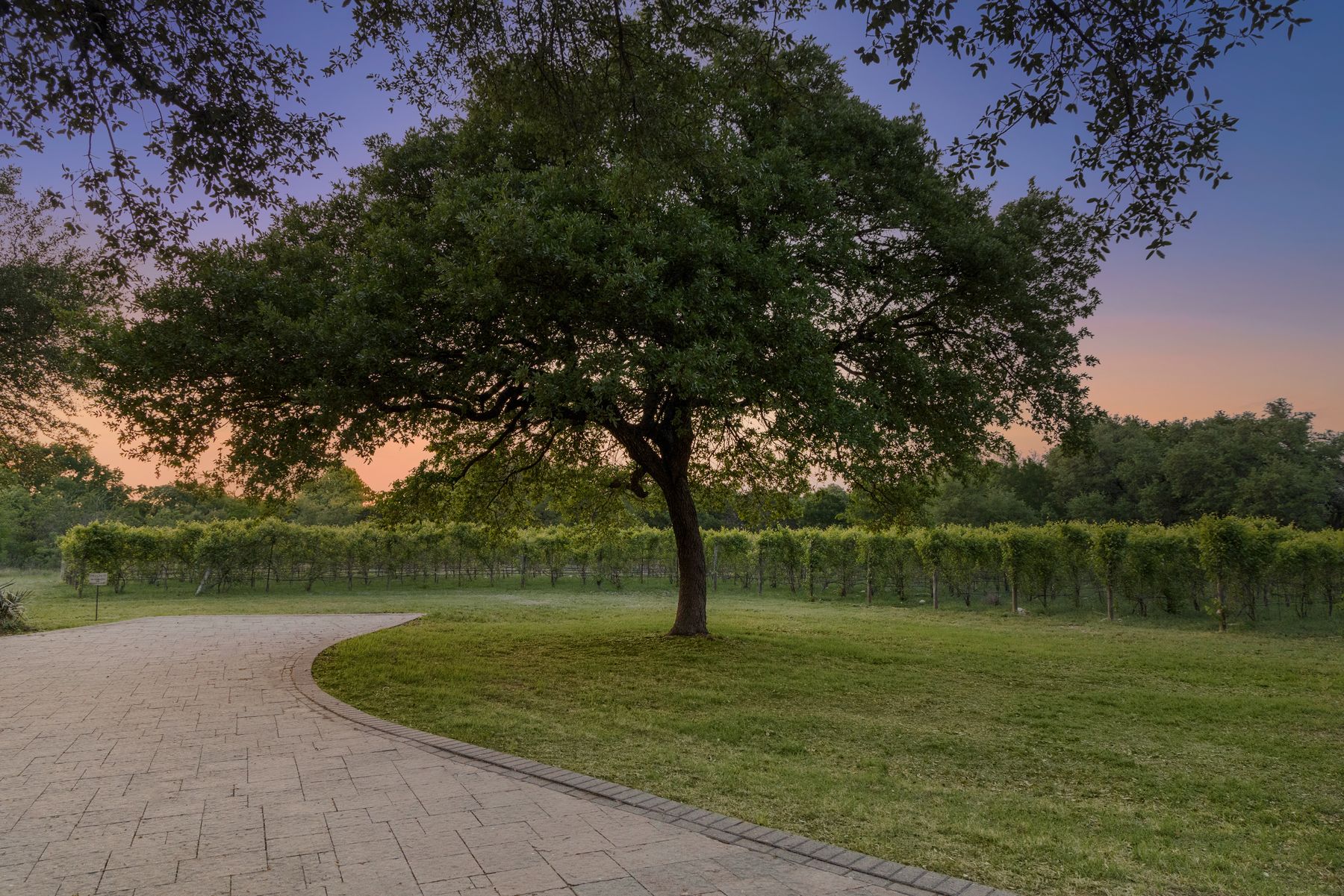 main property photo 37
