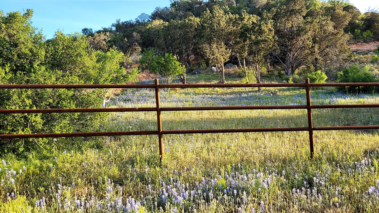 main property photo 11