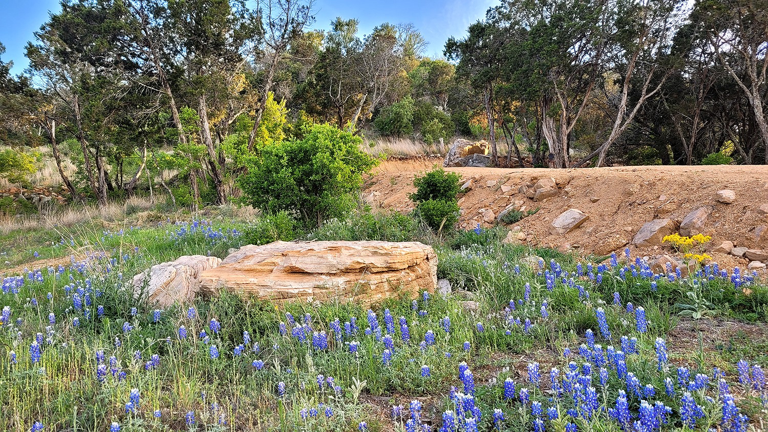 main property photo 3