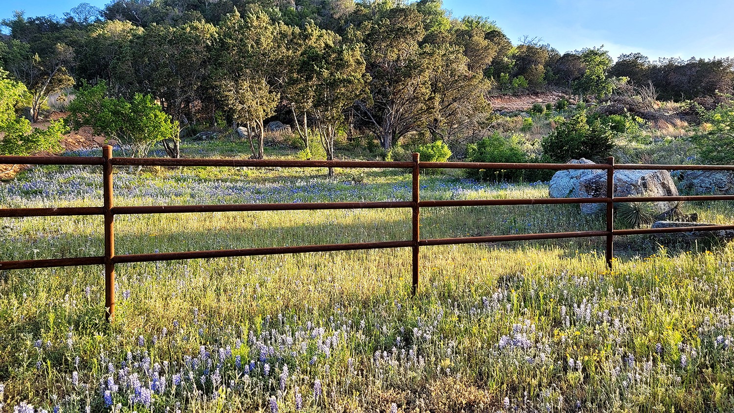 main property photo 4