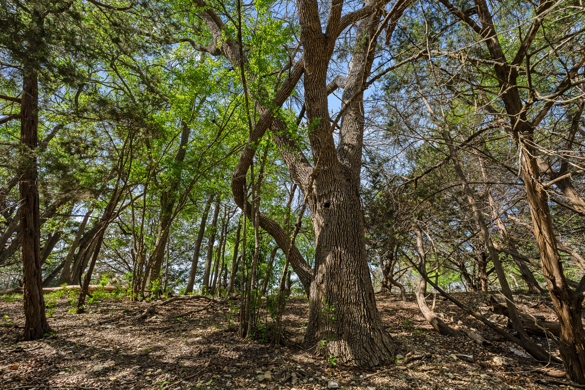 main property photo 28